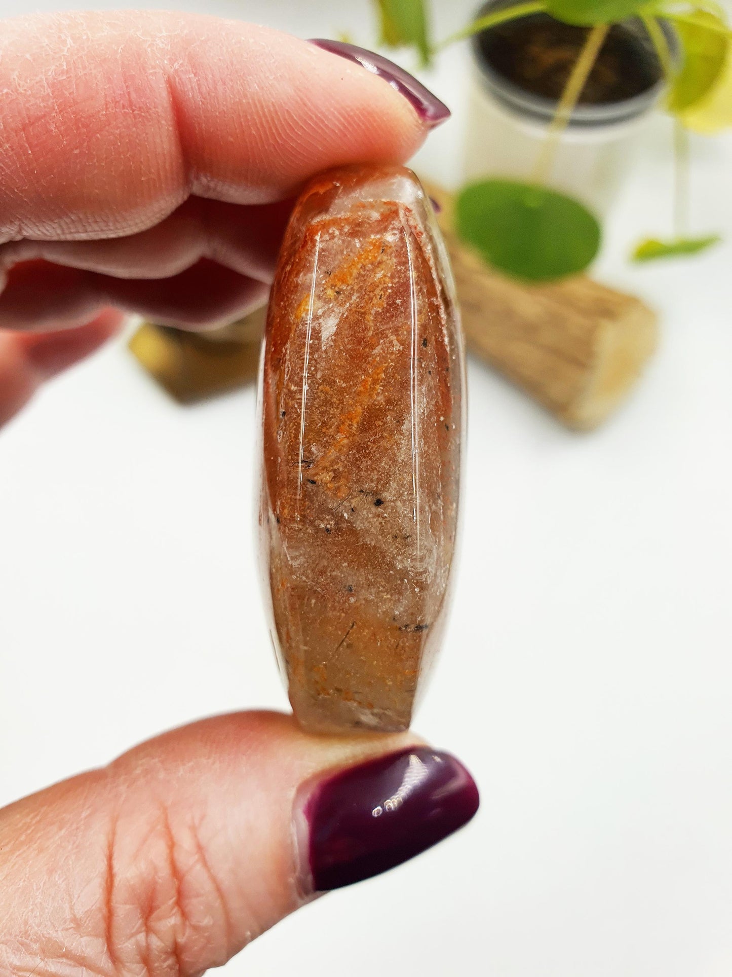 High Grade Sparkly Thousand Layer Palm with rainbow - Thoudand Layer (Lodolite) Palm Stone