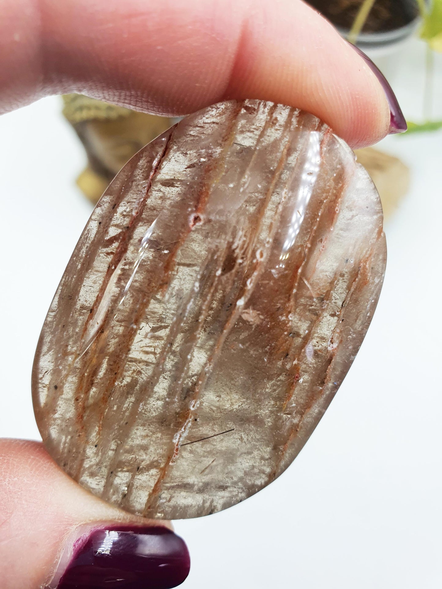 High Grade Sparkly Thousand Layer Palm with rainbow - Thoudand Layer (Lodolite) Palm Stone
