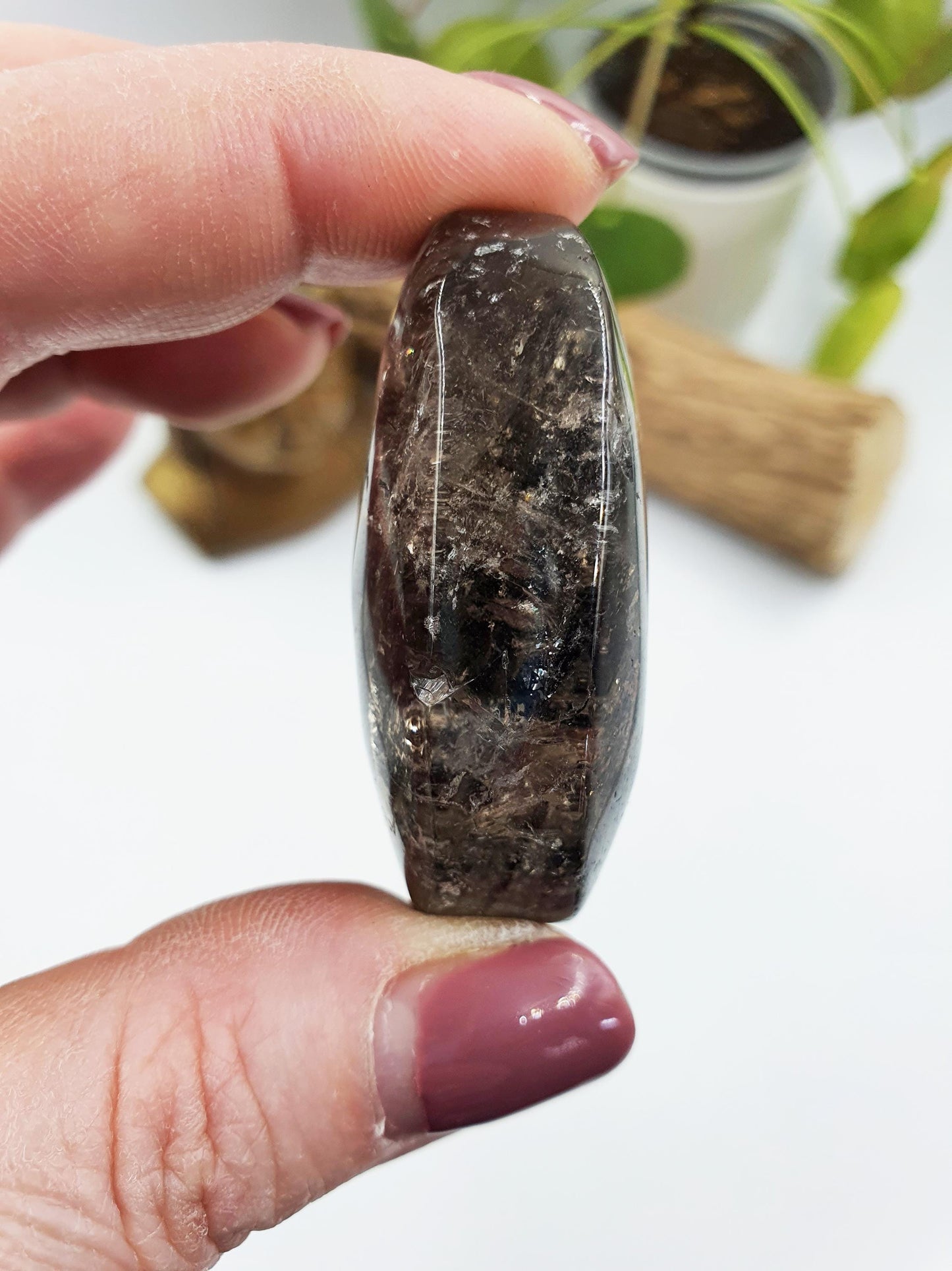 High Grade Sparkly Thousand Layer Palm - Thoudand Layer (Lodolite) Palm Stone