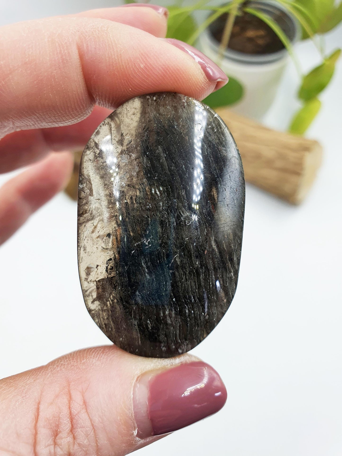 High Grade Sparkly Thousand Layer Palm - Thoudand Layer (Lodolite) Palm Stone