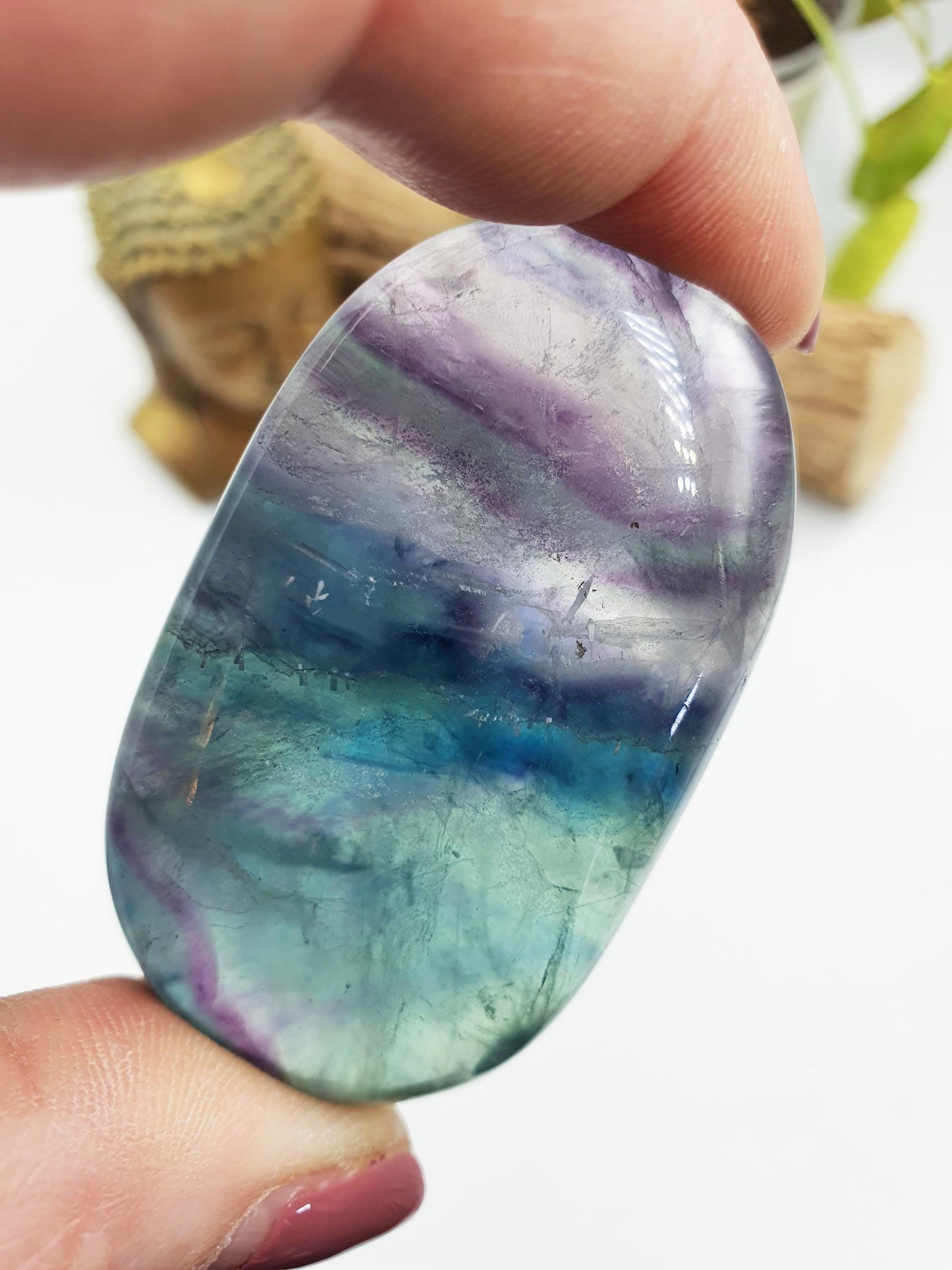 Flashy Fluorite Palm