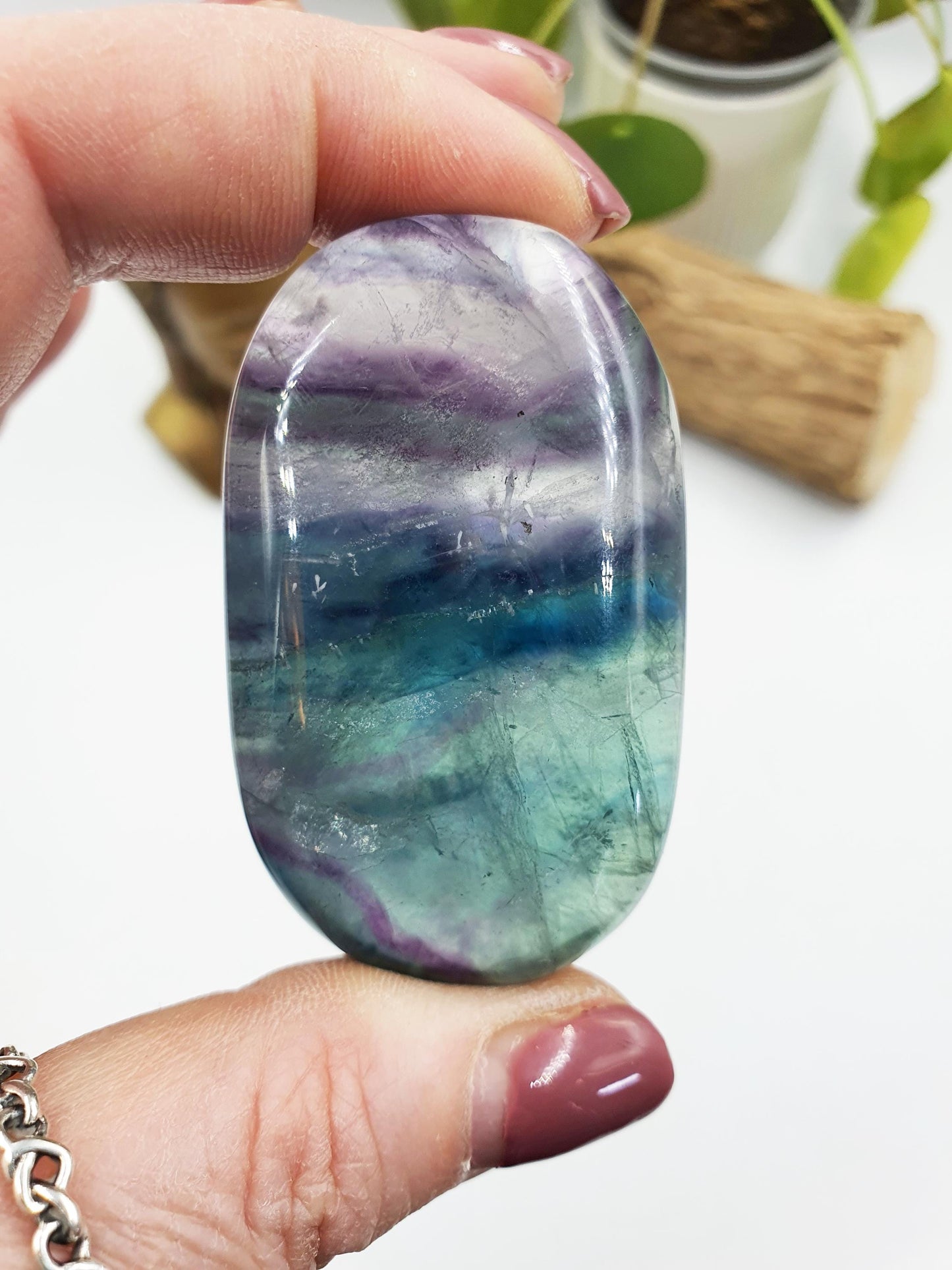 Flashy Fluorite Palm