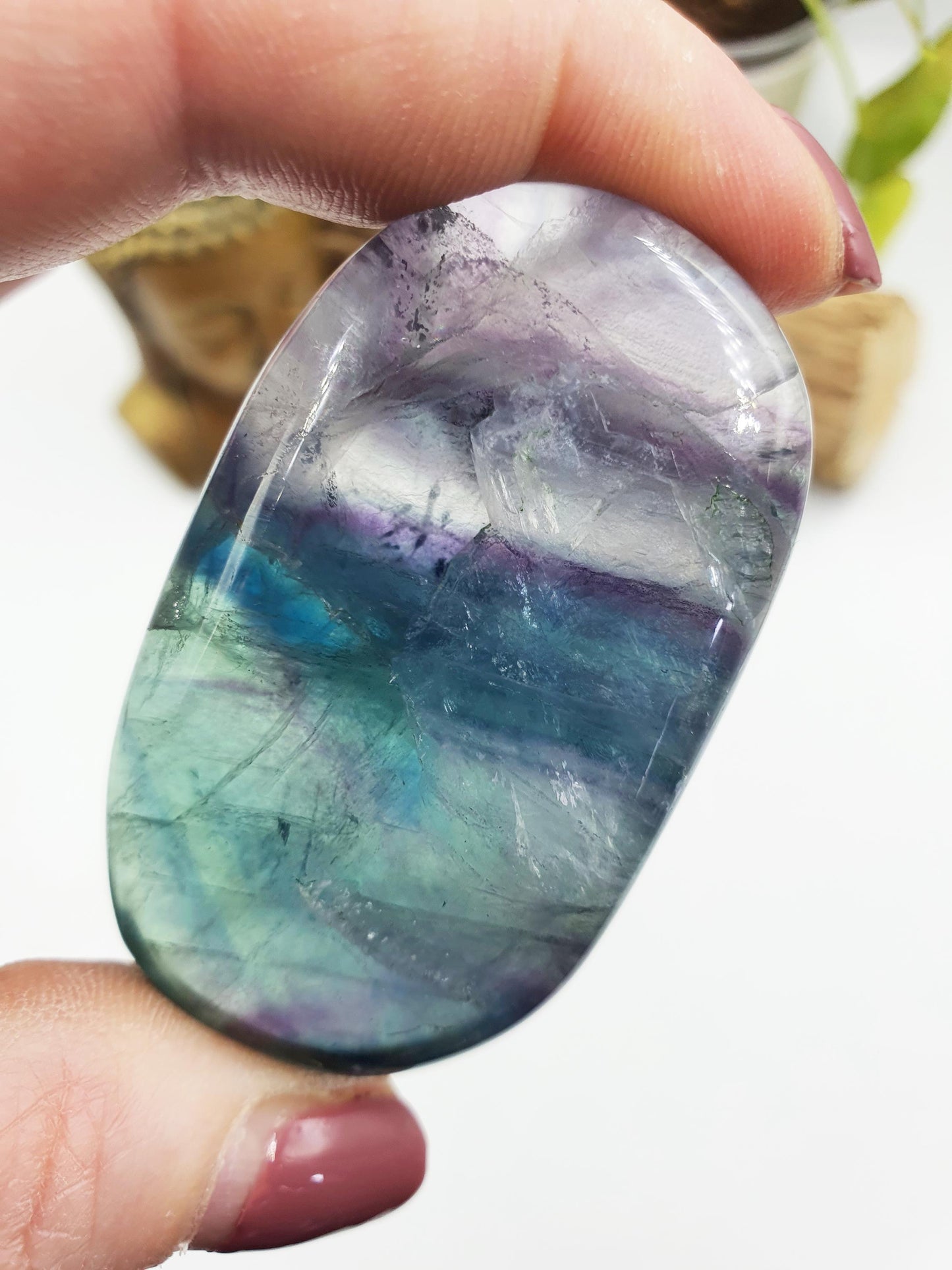 Flashy Fluorite Palm