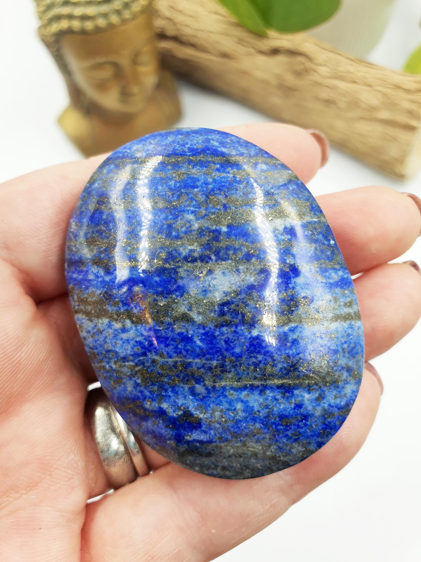 Lapis Lazuli Palm