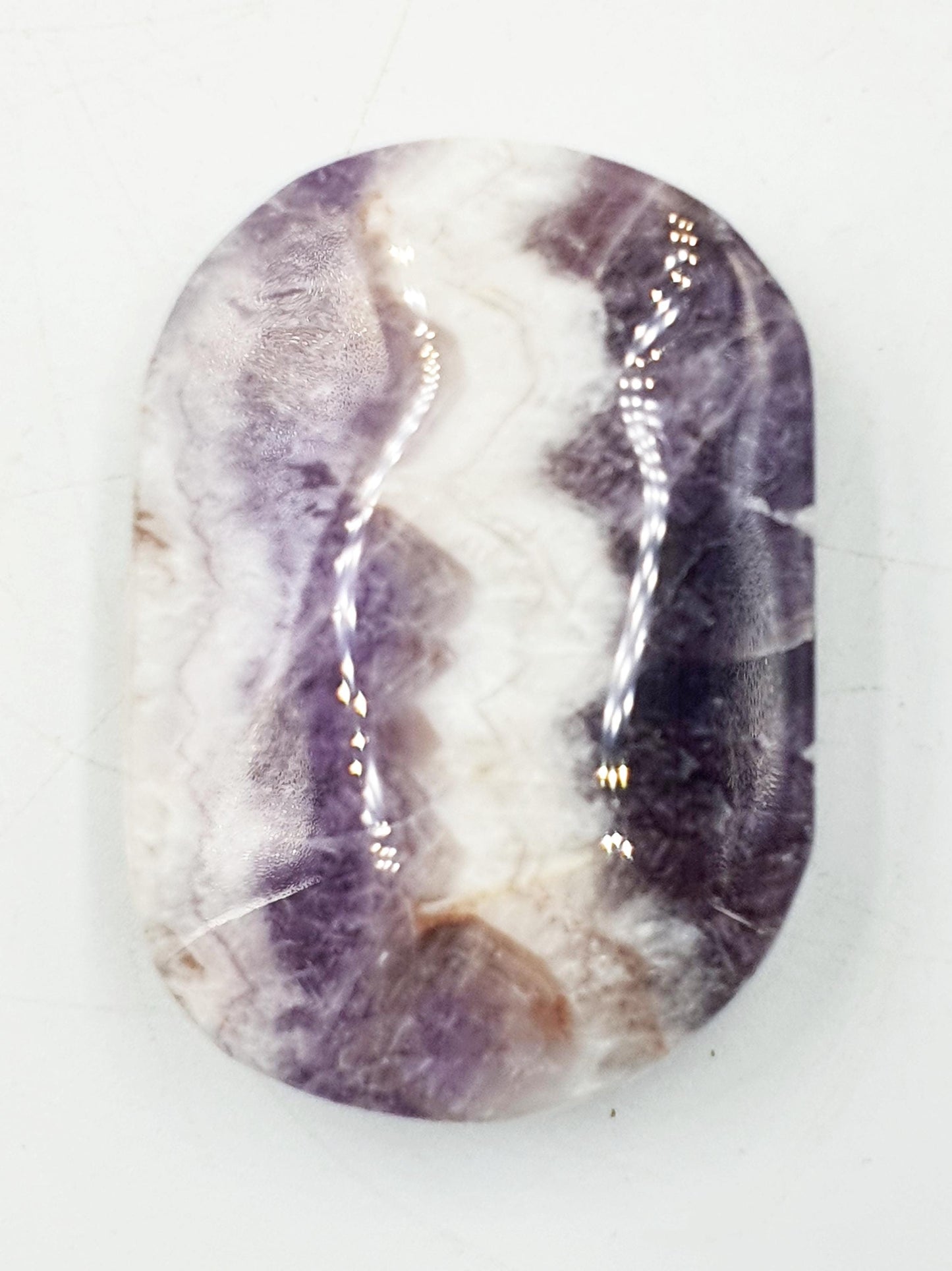 Dream Amethyst Palm