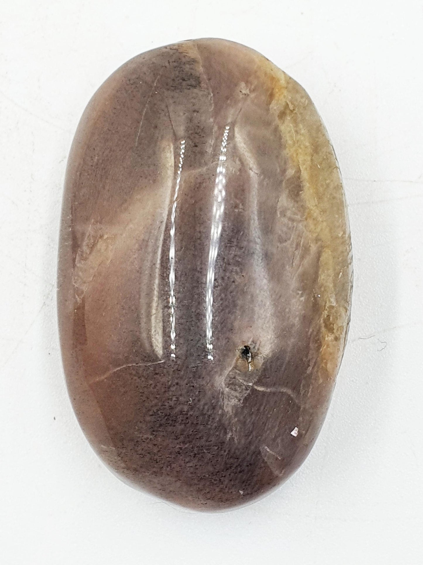 Flashy Moonstone and Sunstone Palm