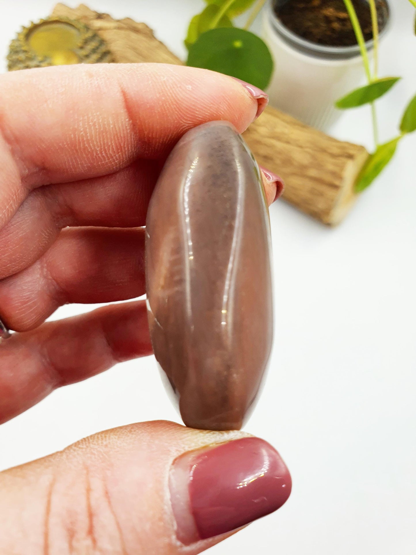 Flashy Moonstone and Sunstone Palm