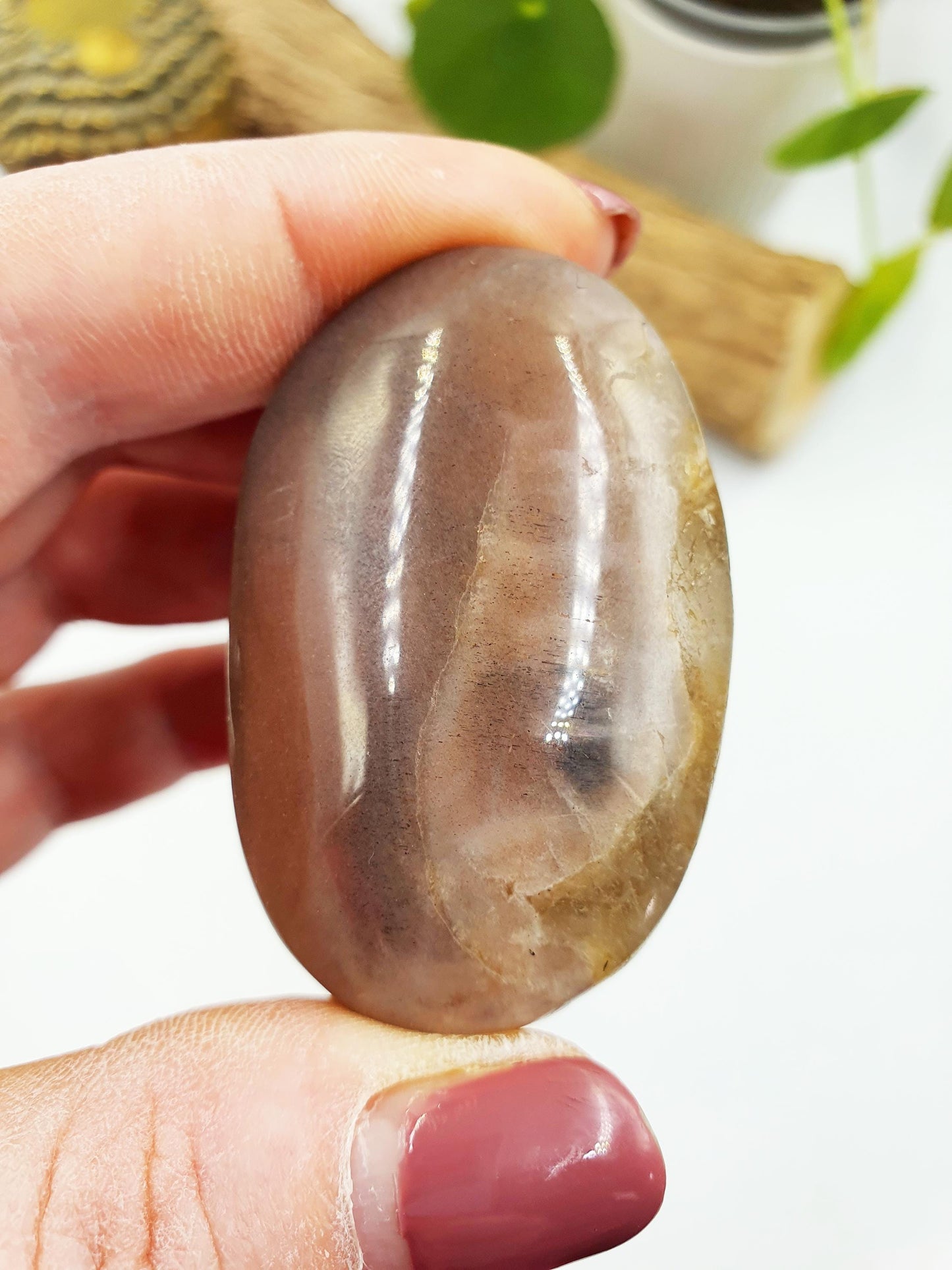 Flashy Moonstone and Sunstone Palm