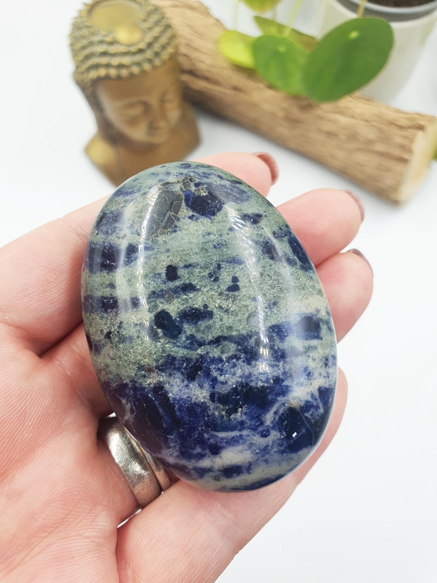 Sodalite Palm