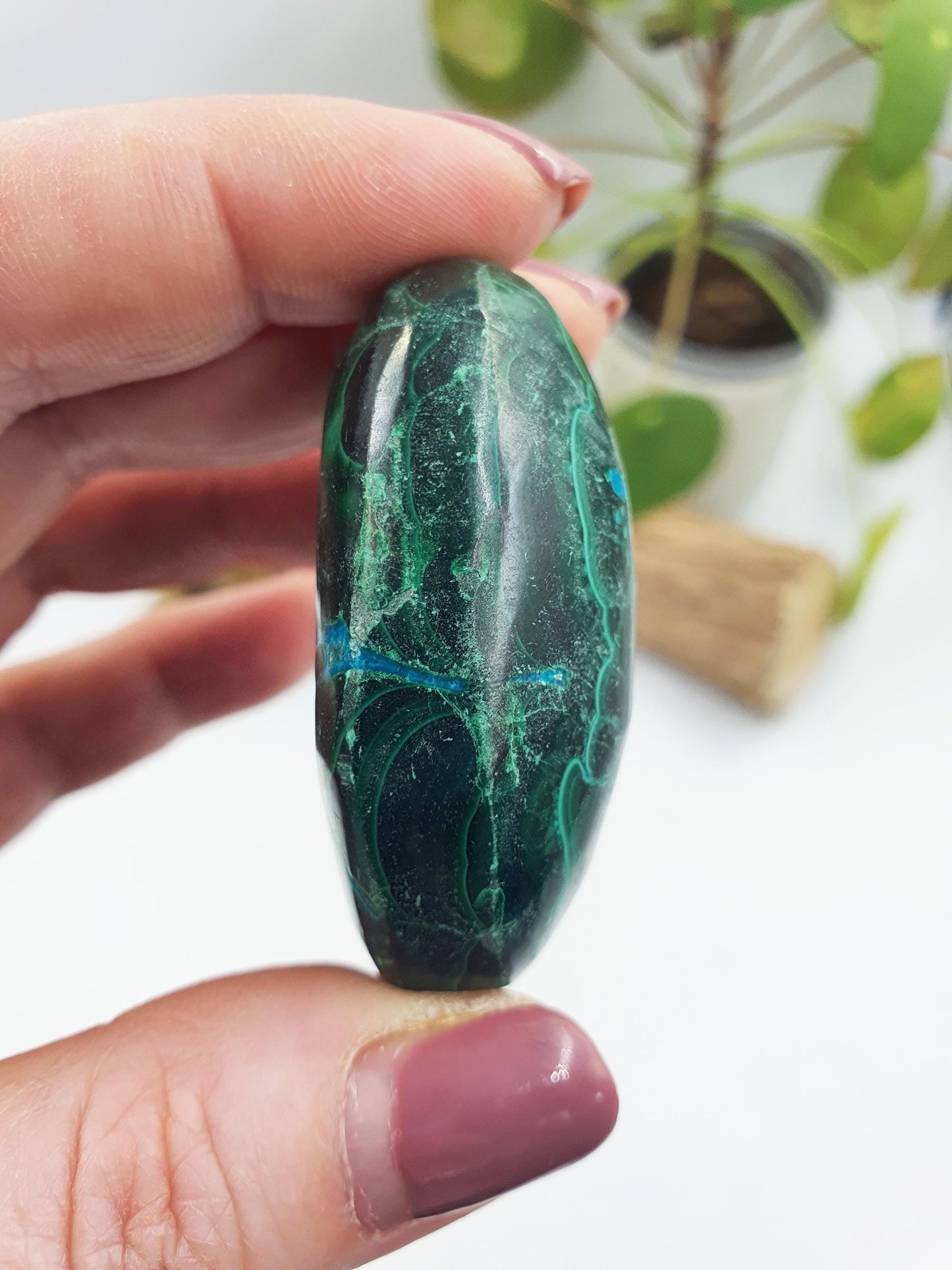 Chrysocolla Palm