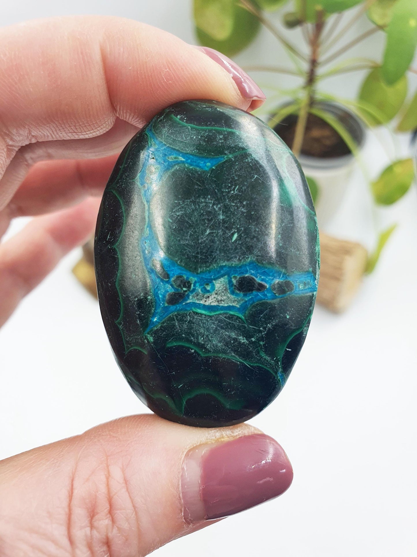 Chrysocolla Palm