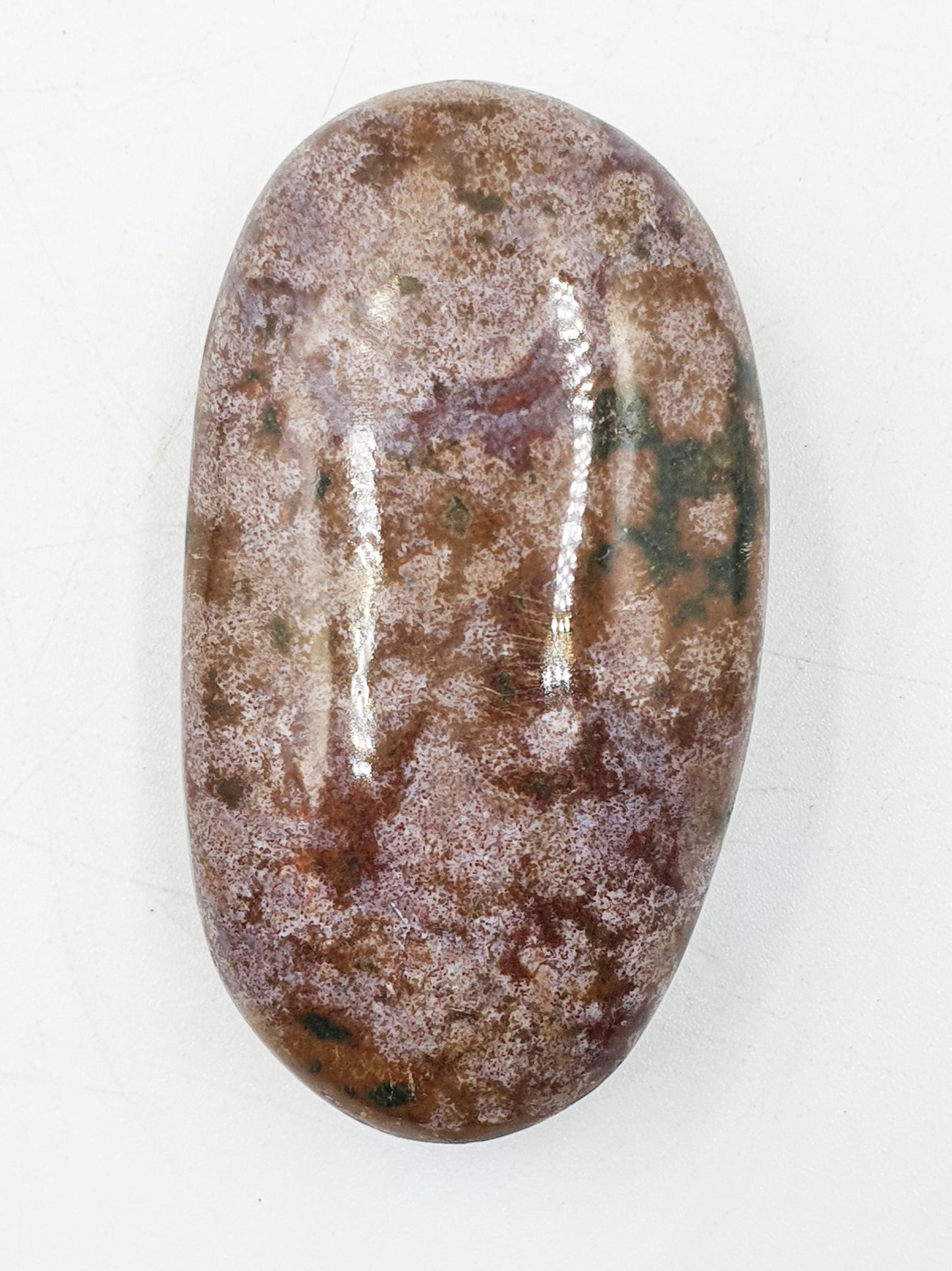 Ocean Jasper Palm