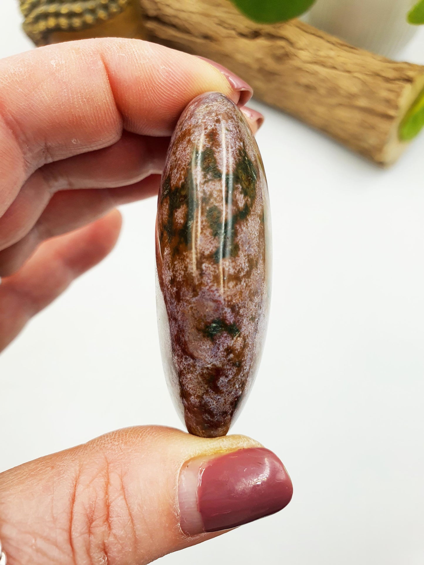 Ocean Jasper Palm