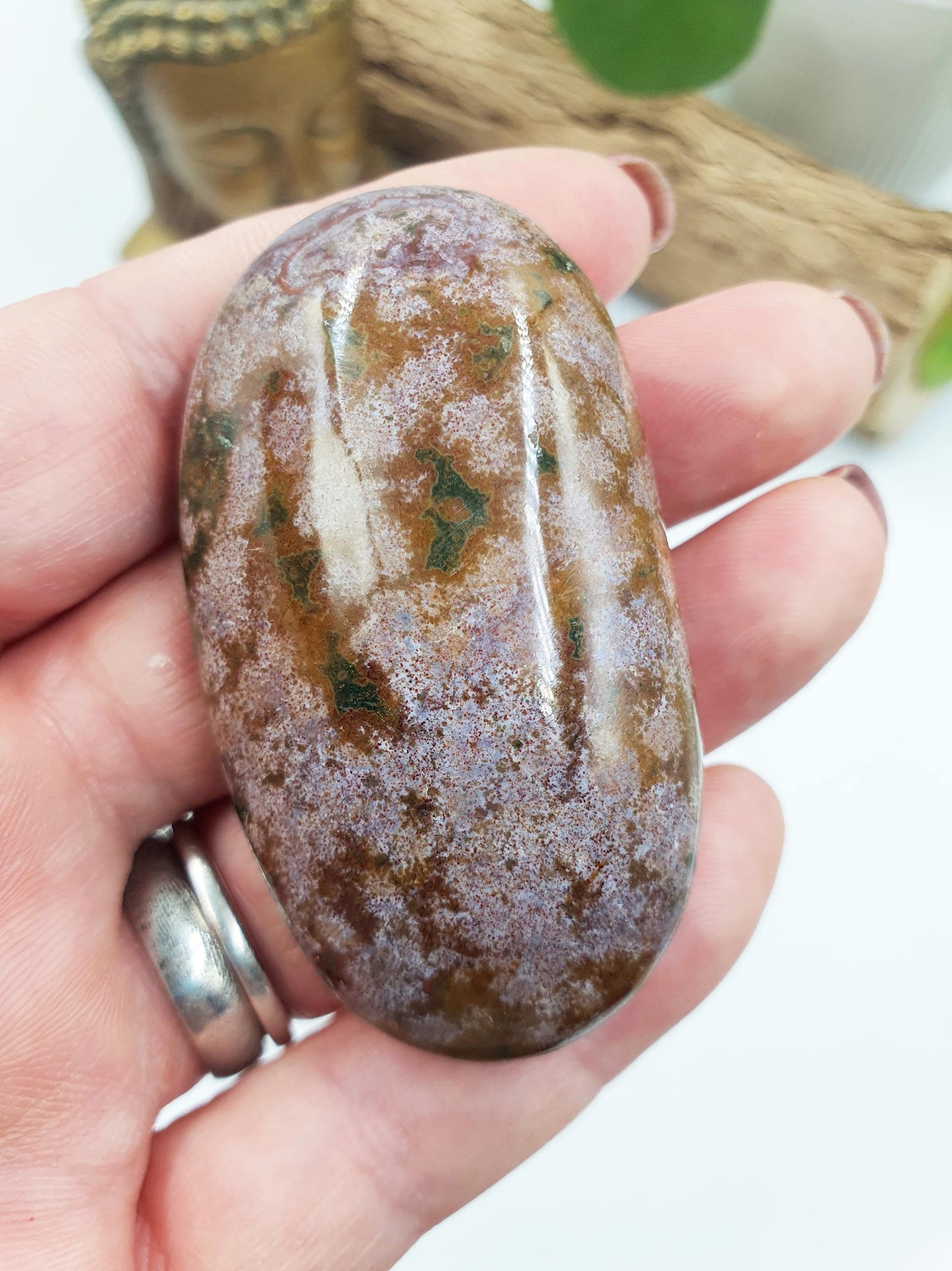 Ocean Jasper Palm