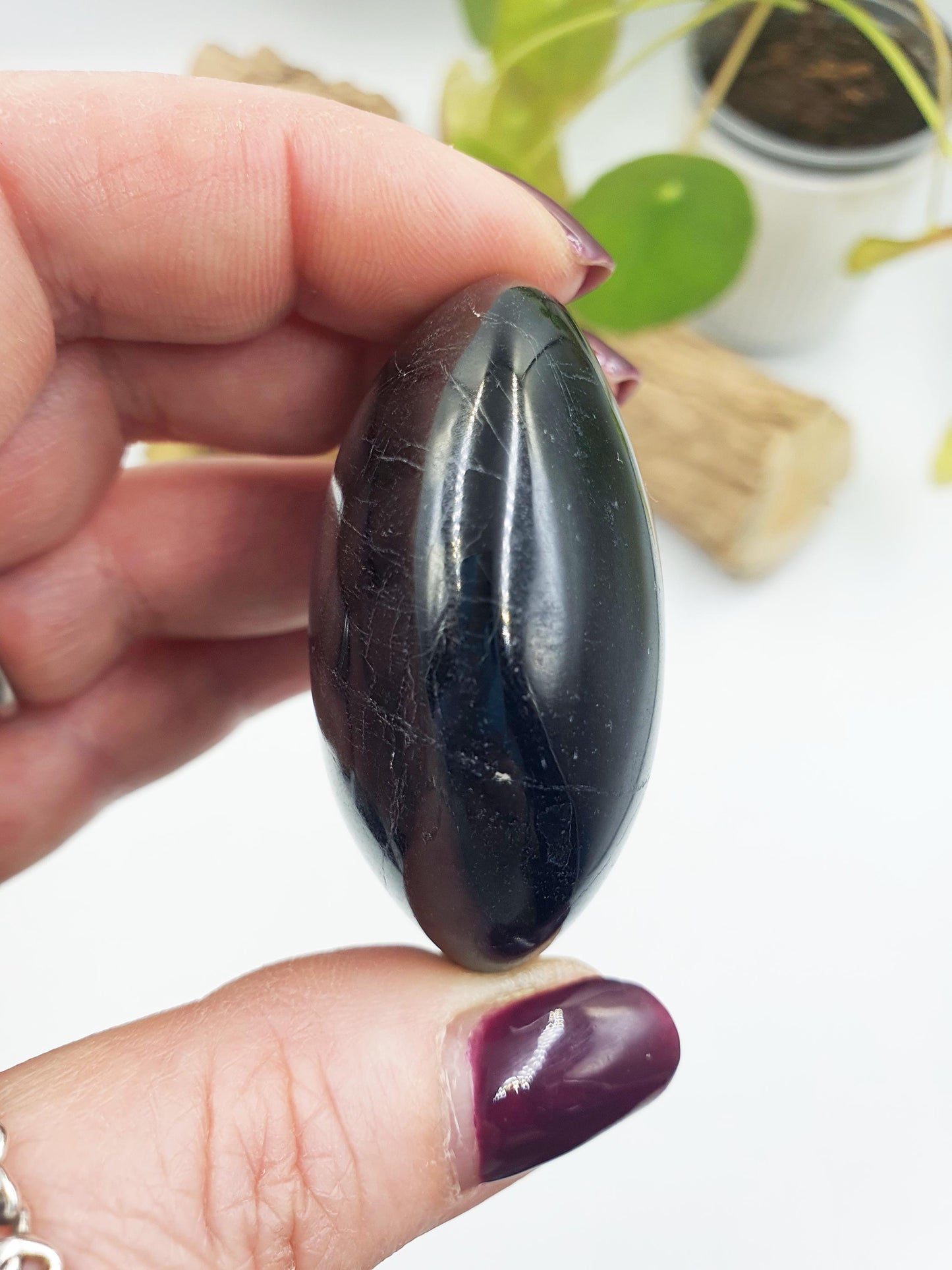 Black Tourmaline Palm