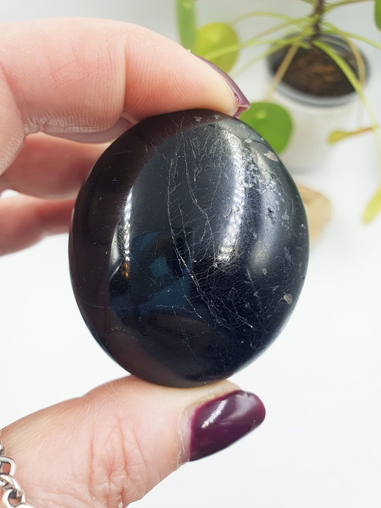 Black Tourmaline Palm