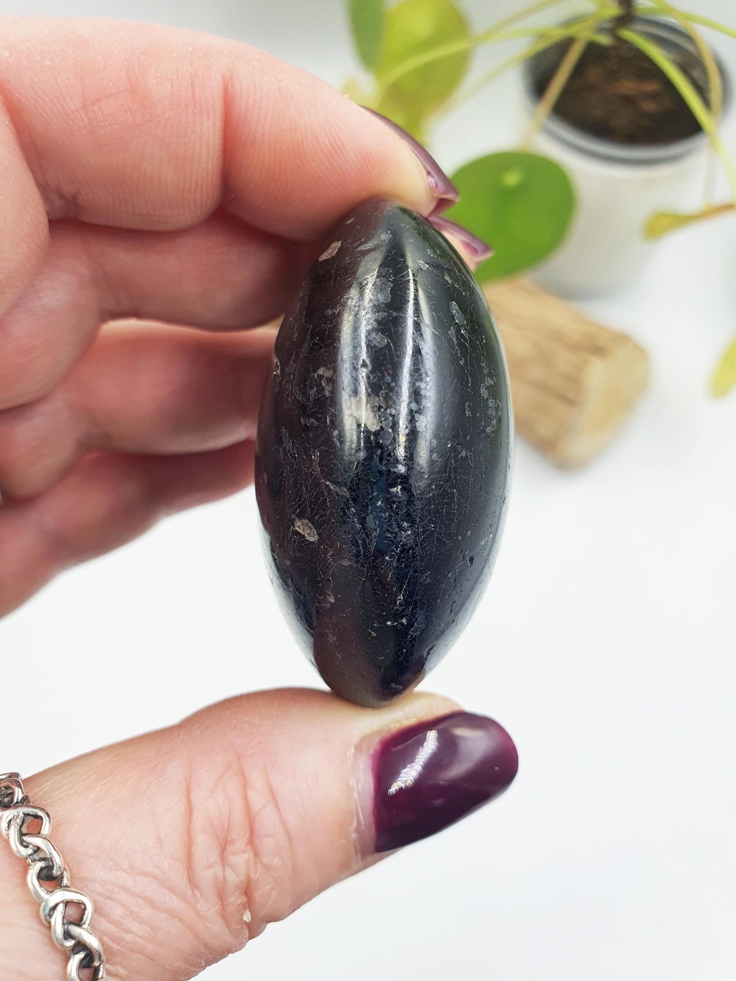 Black Tourmaline Palm