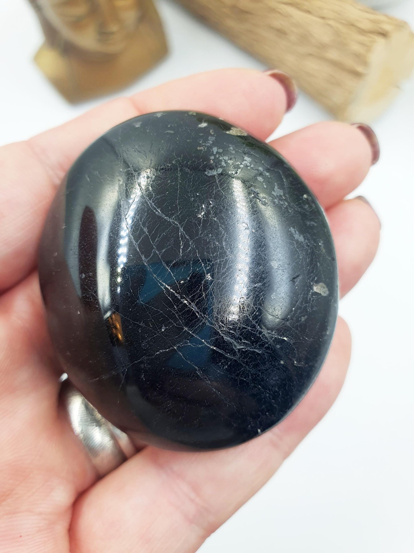 Black Tourmaline Palm