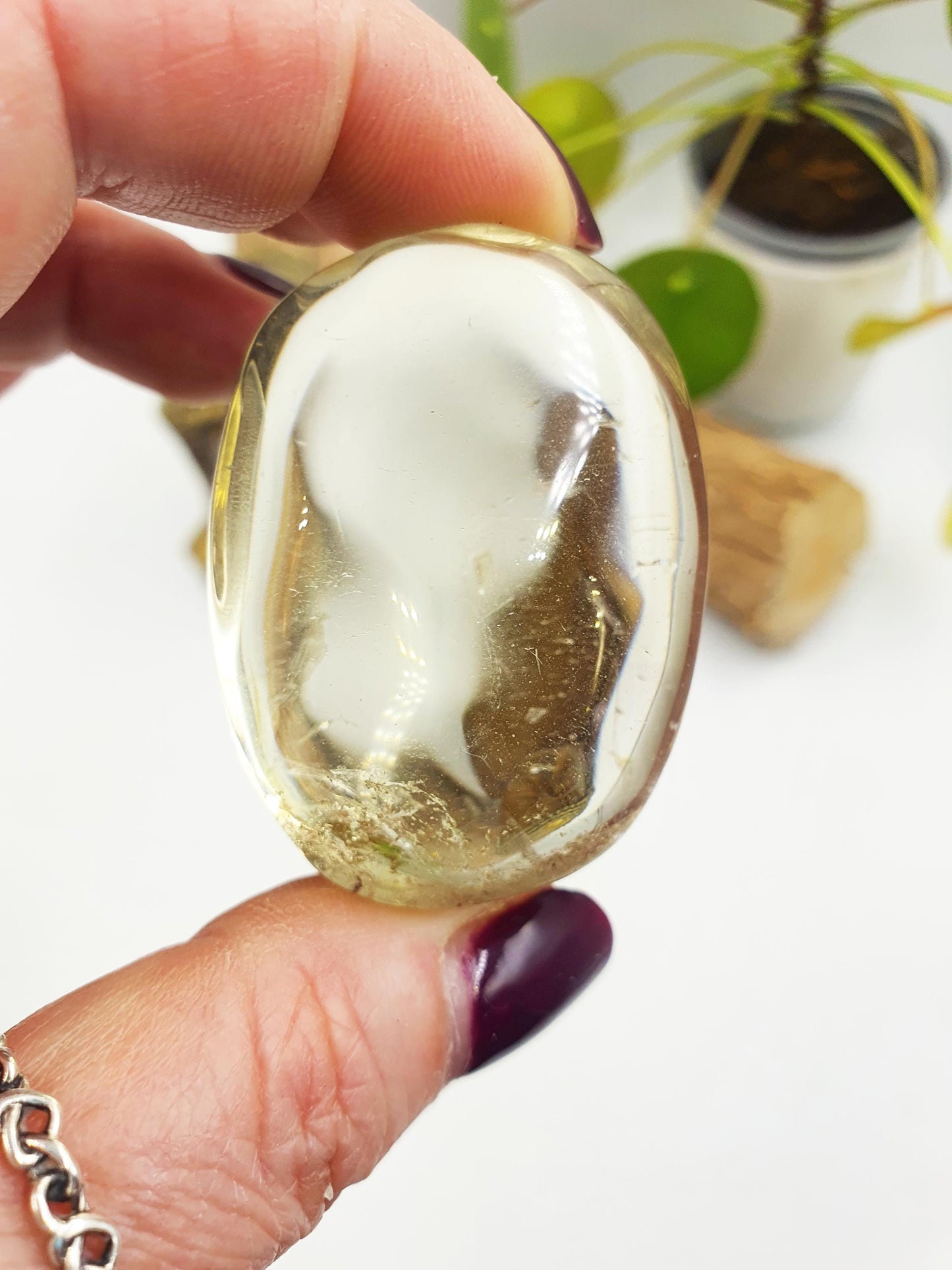 Citrine Palm