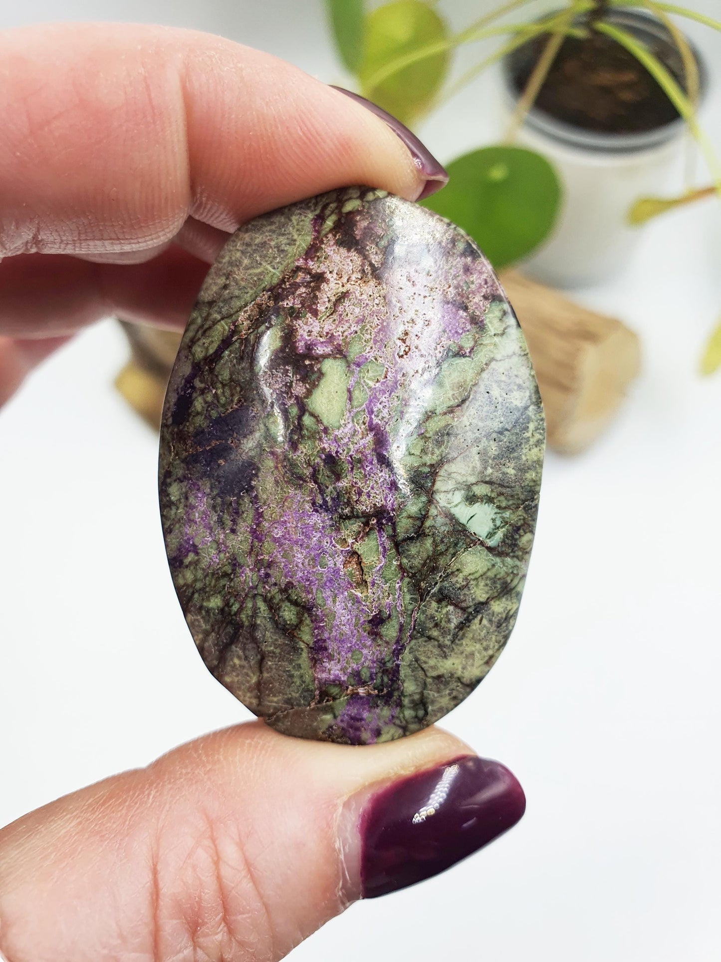 Little Atlantisite Palm
