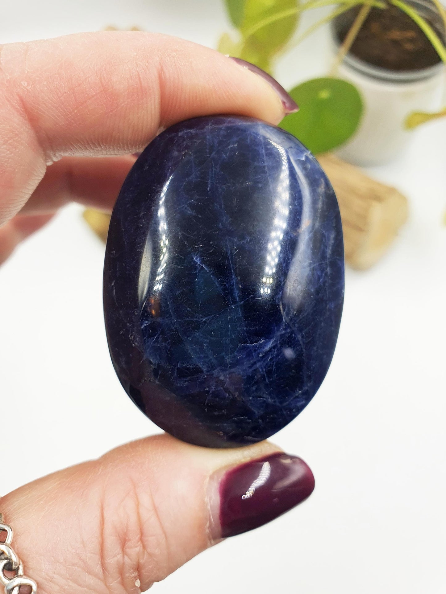 Sodalite Palm