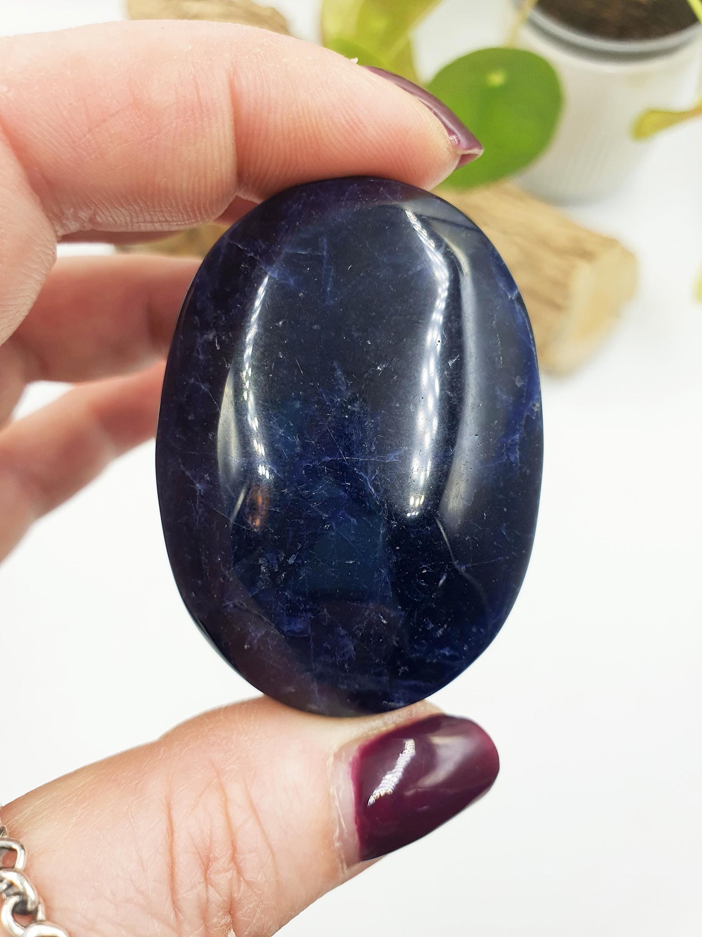 Sodalite Palm