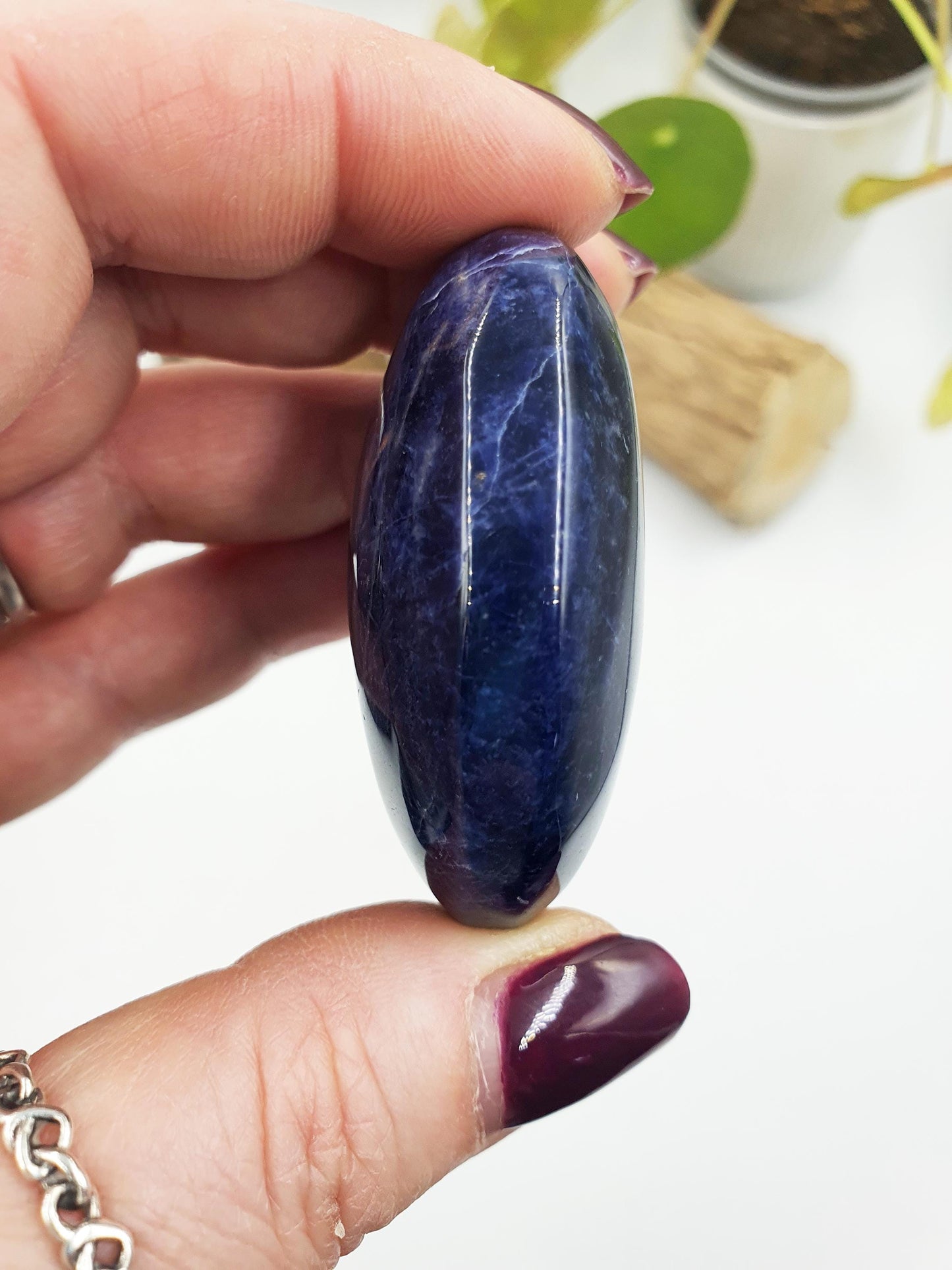 Sodalite Palm