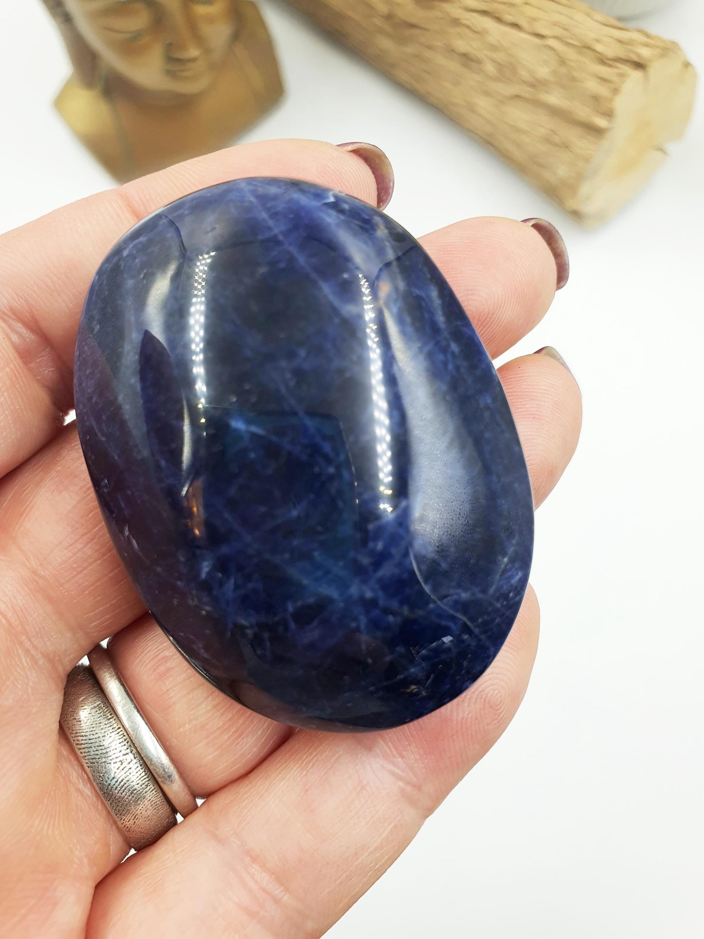 Sodalite Palm