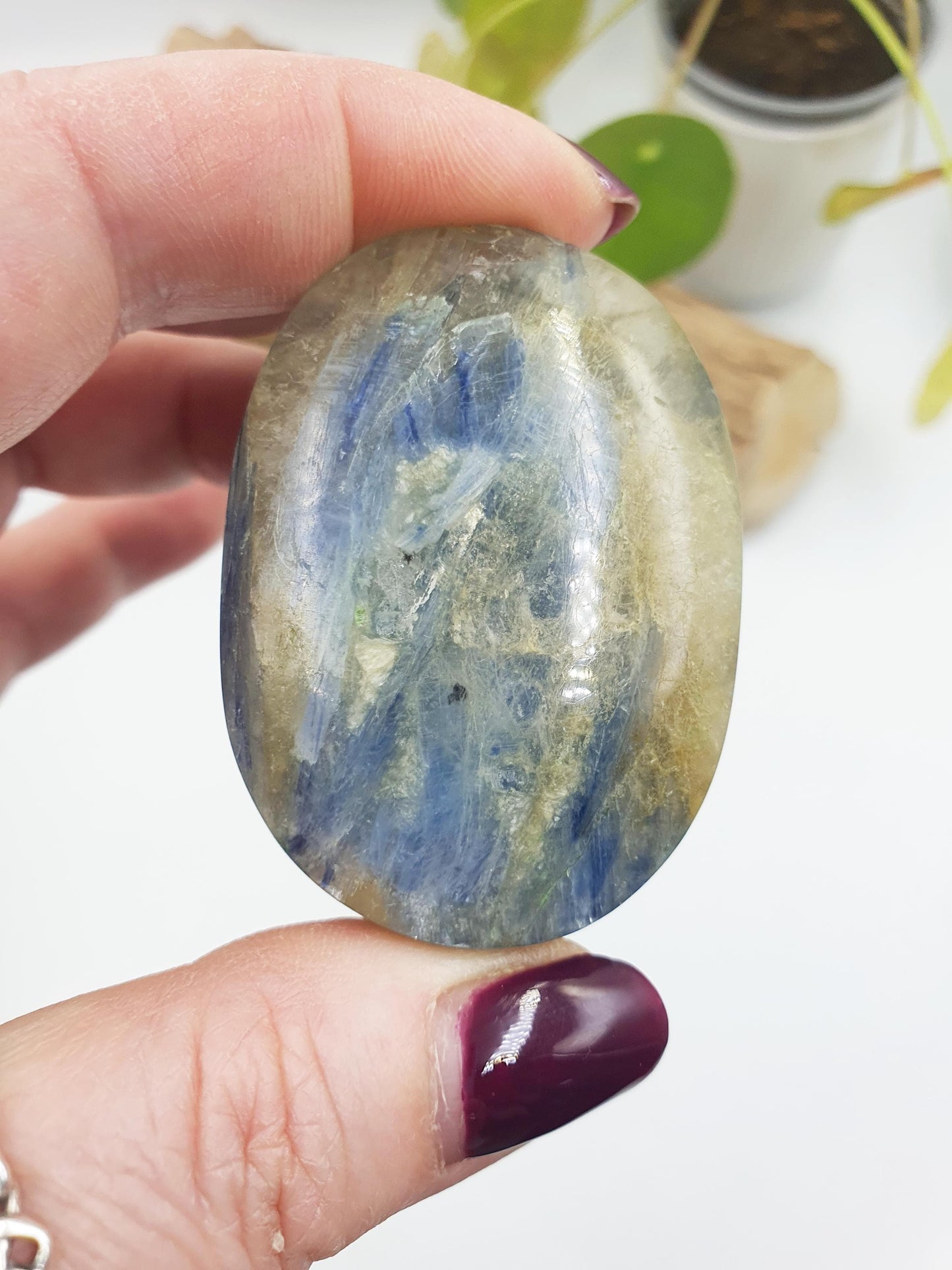 Kyanite Palm