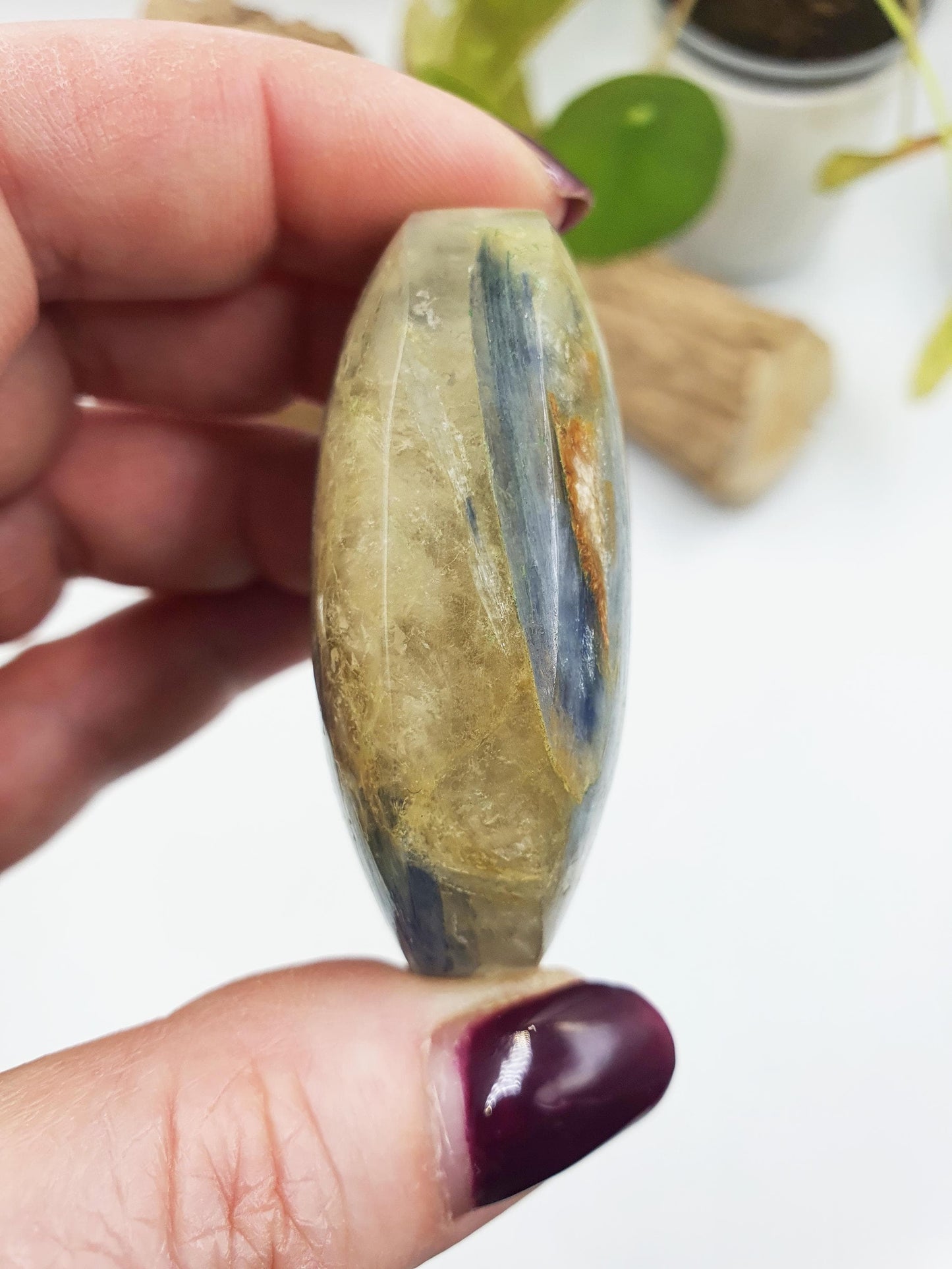 Kyanite Palm