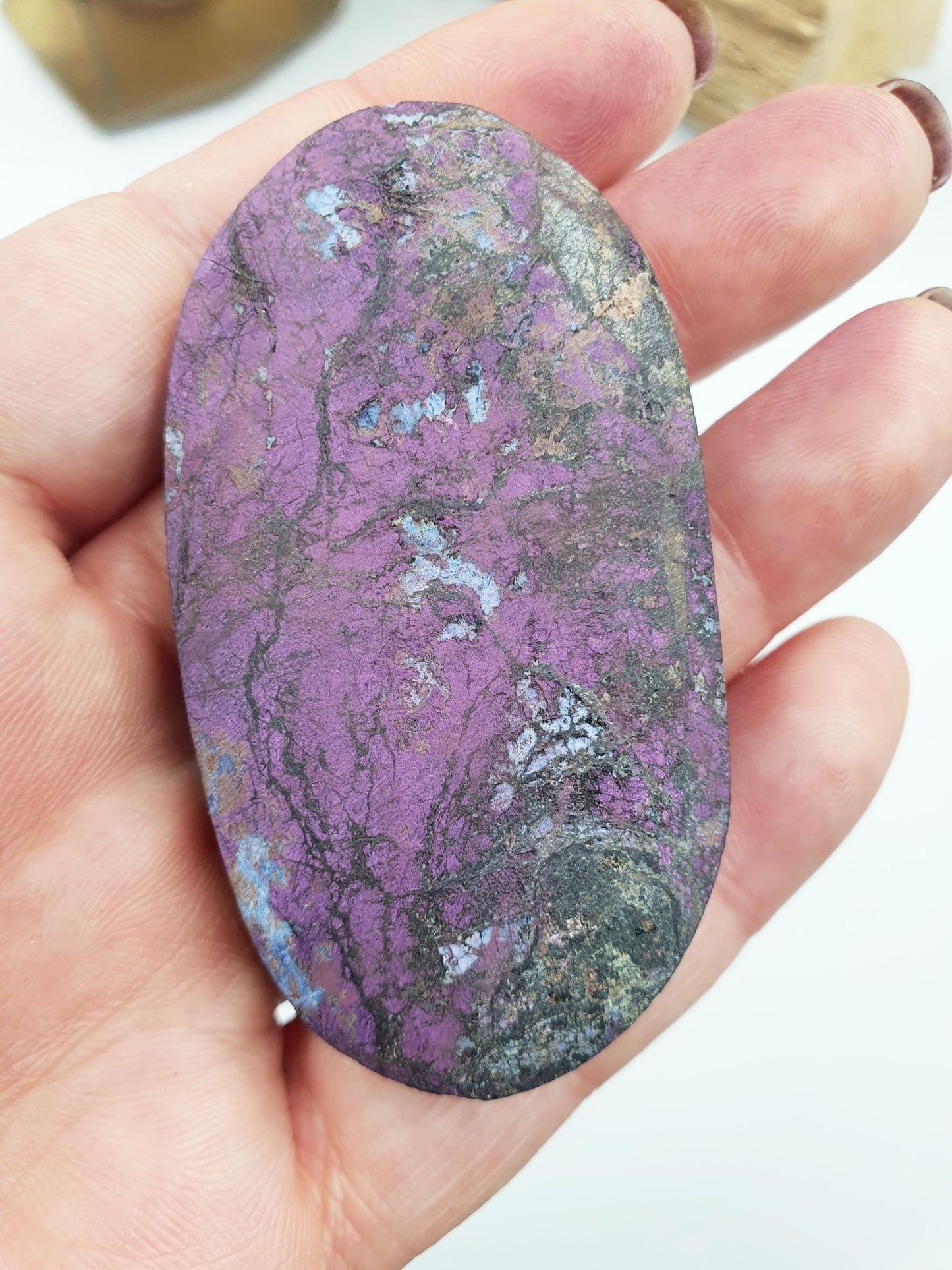 Purpurite Palm