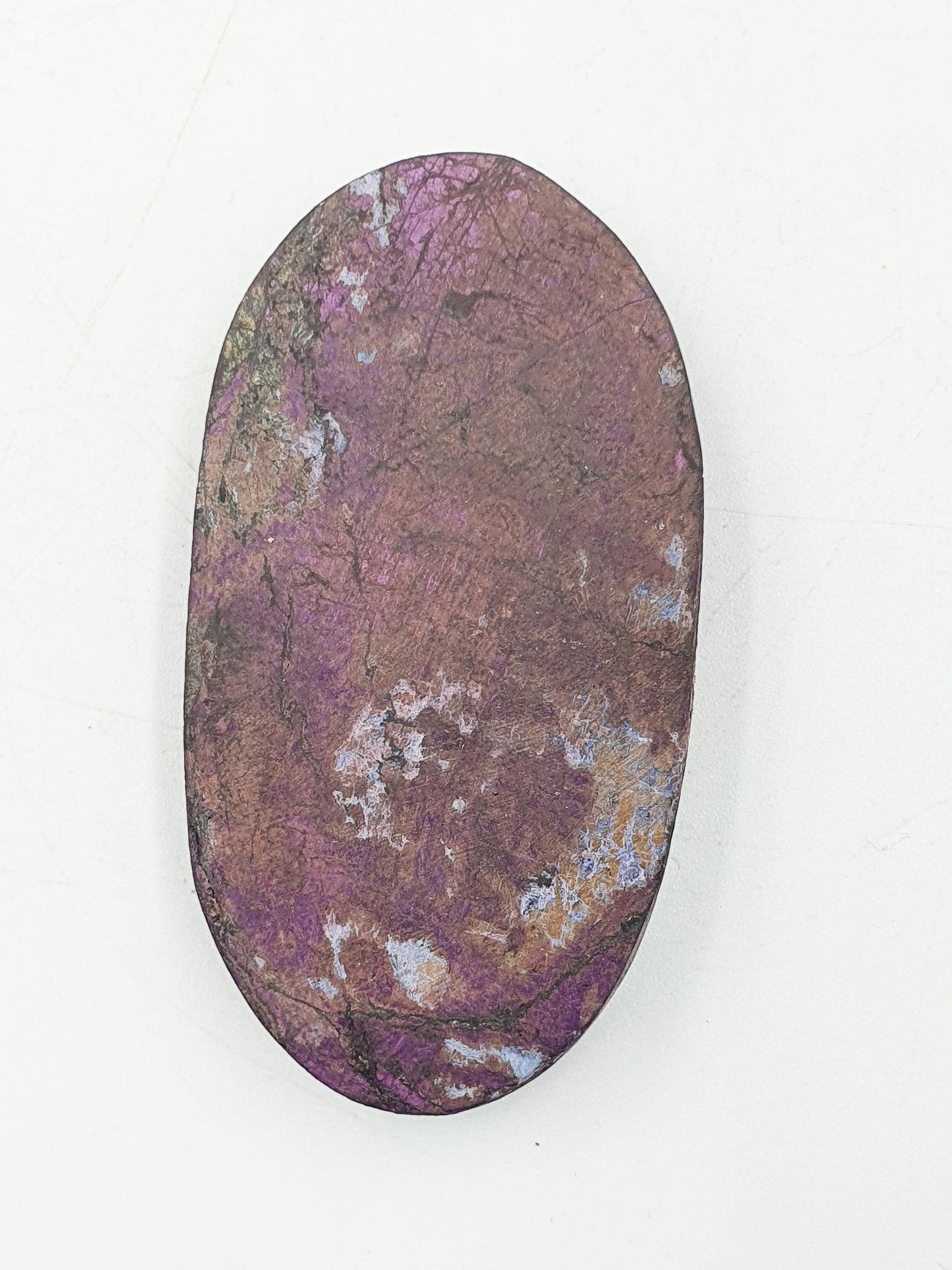 Purpurite Palm