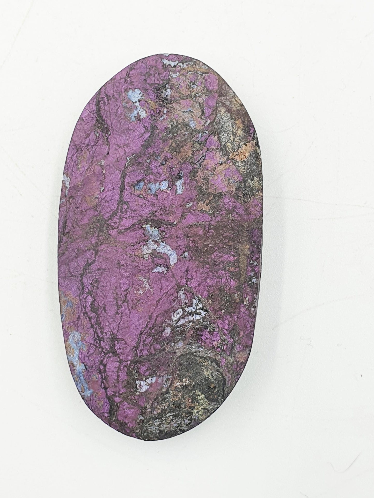 Purpurite Palm