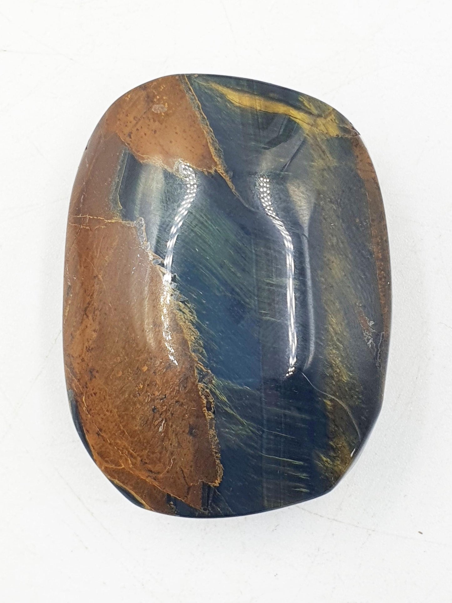 Flashy Blue Tiger's Eye Palm