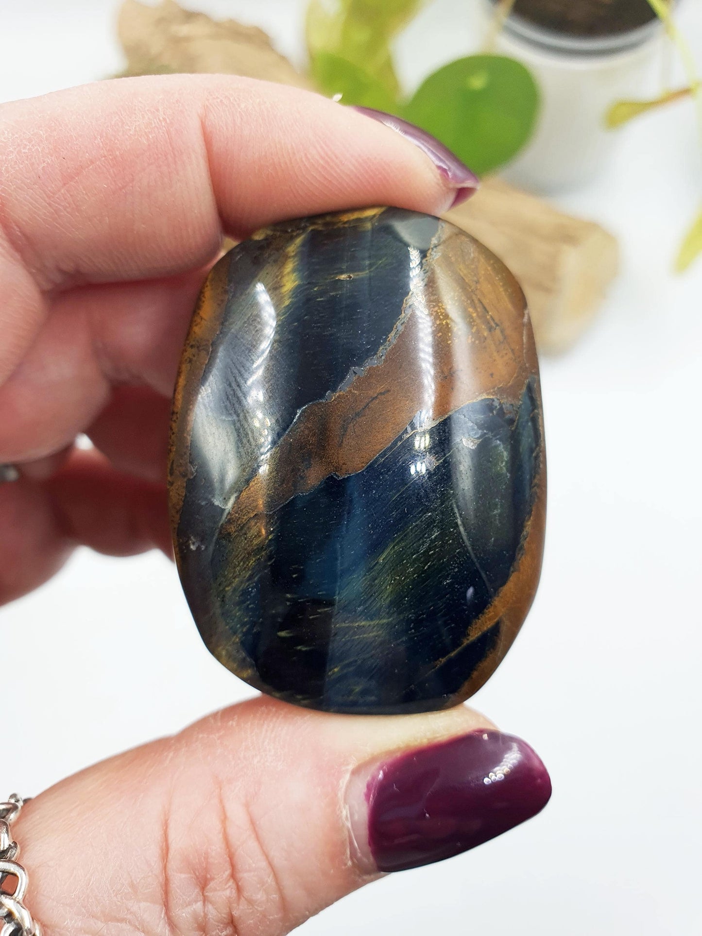 Flashy Blue Tiger's Eye Palm