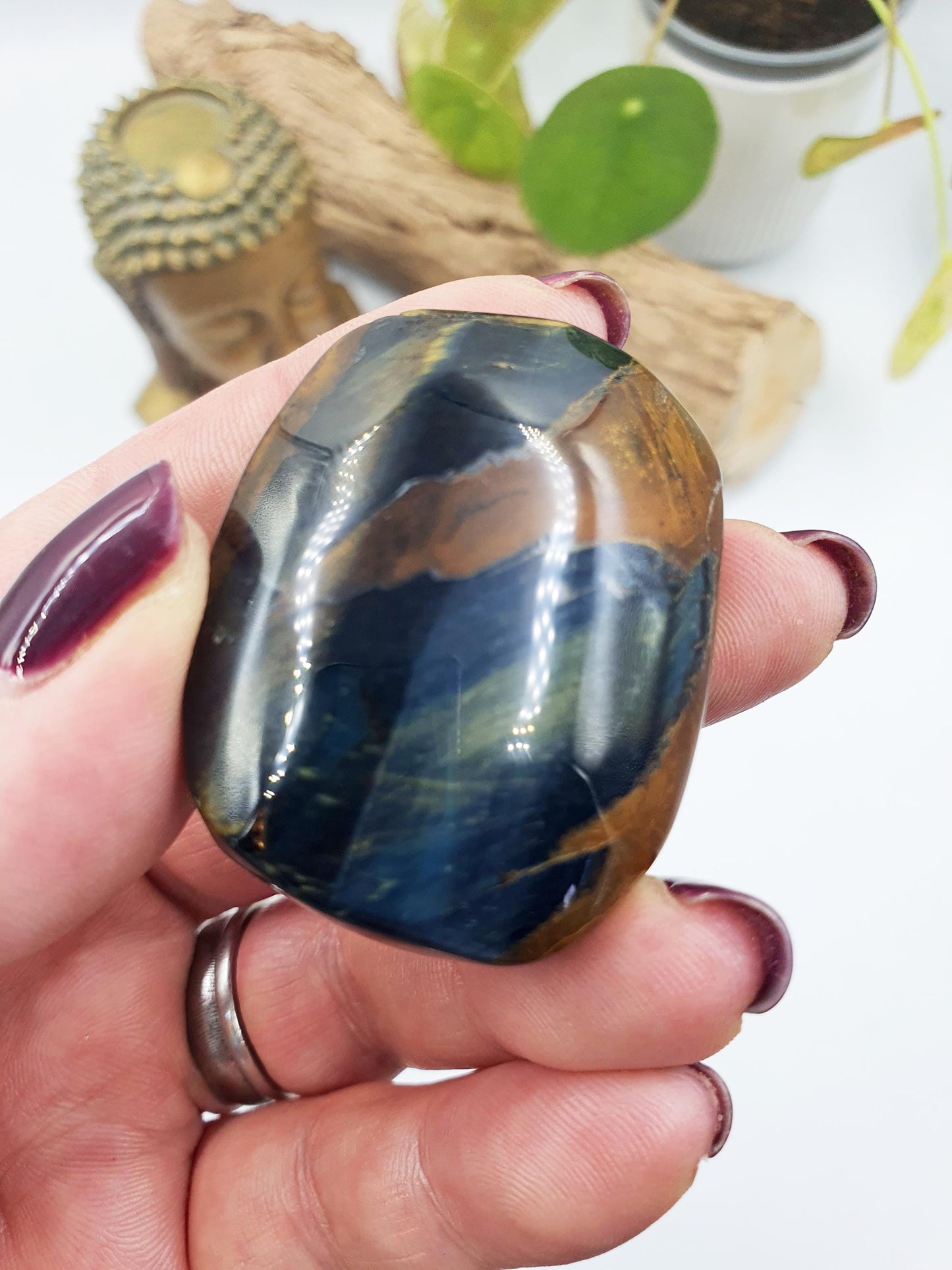 Flashy Blue Tiger's Eye Palm