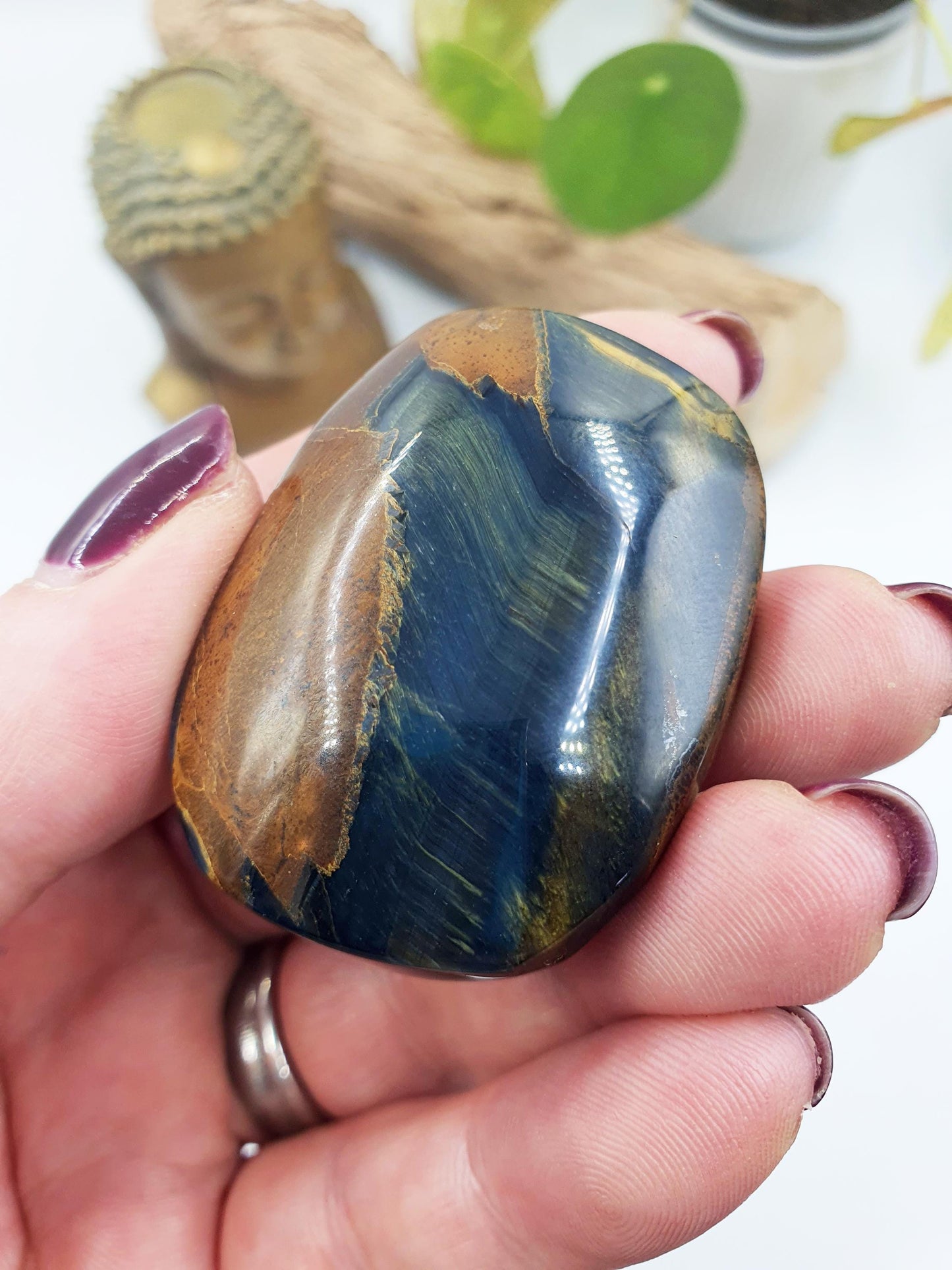 Flashy Blue Tiger's Eye Palm