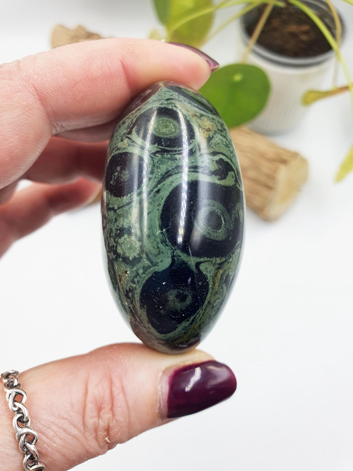 Kambaba Jasper Palm