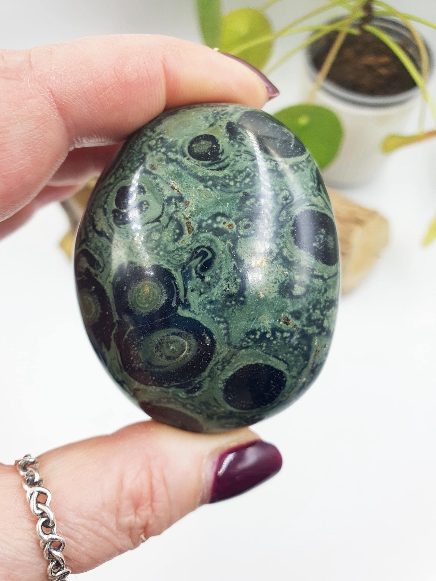 Kambaba Jasper Palm