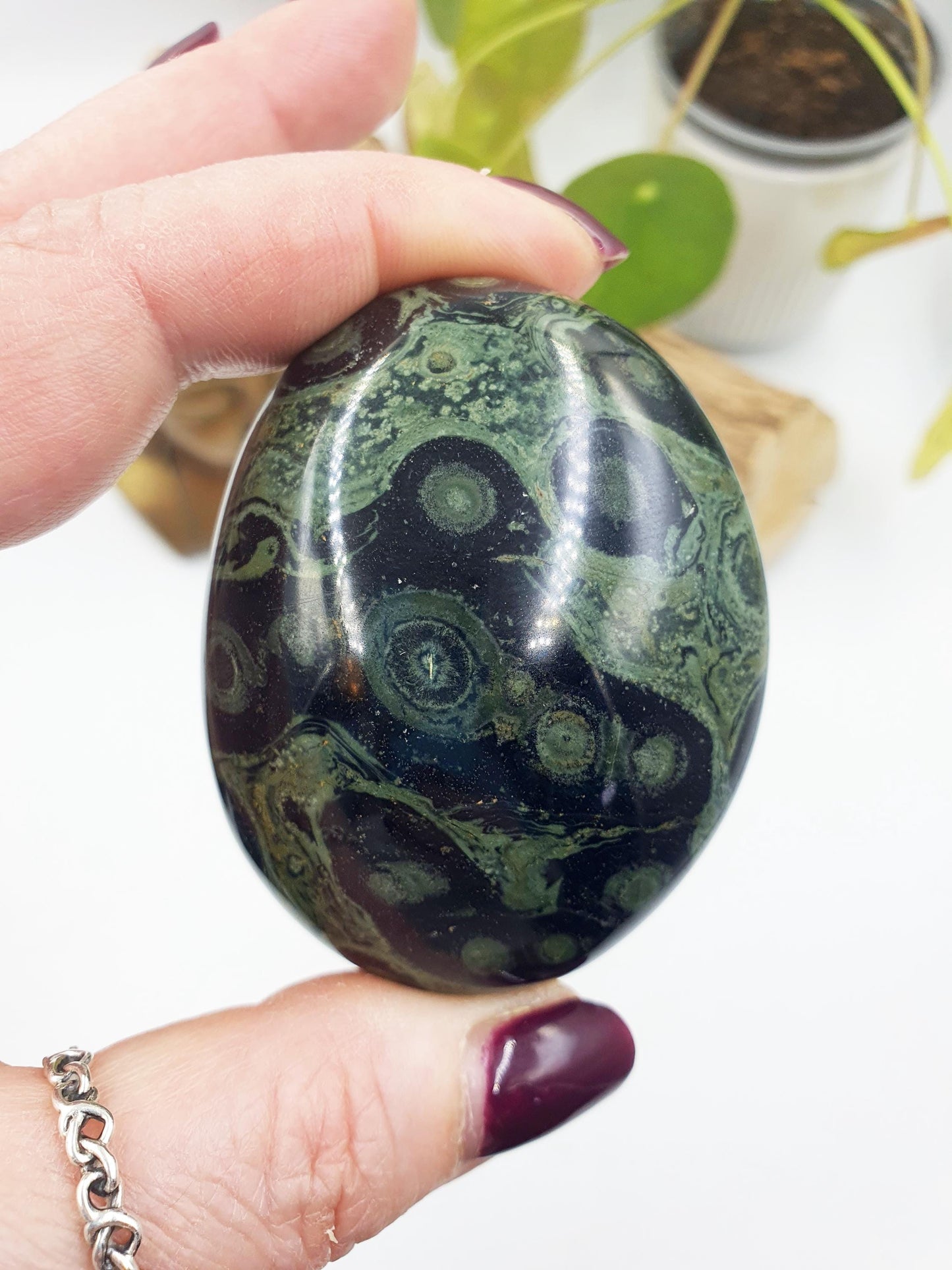 Kambaba Jasper Palm