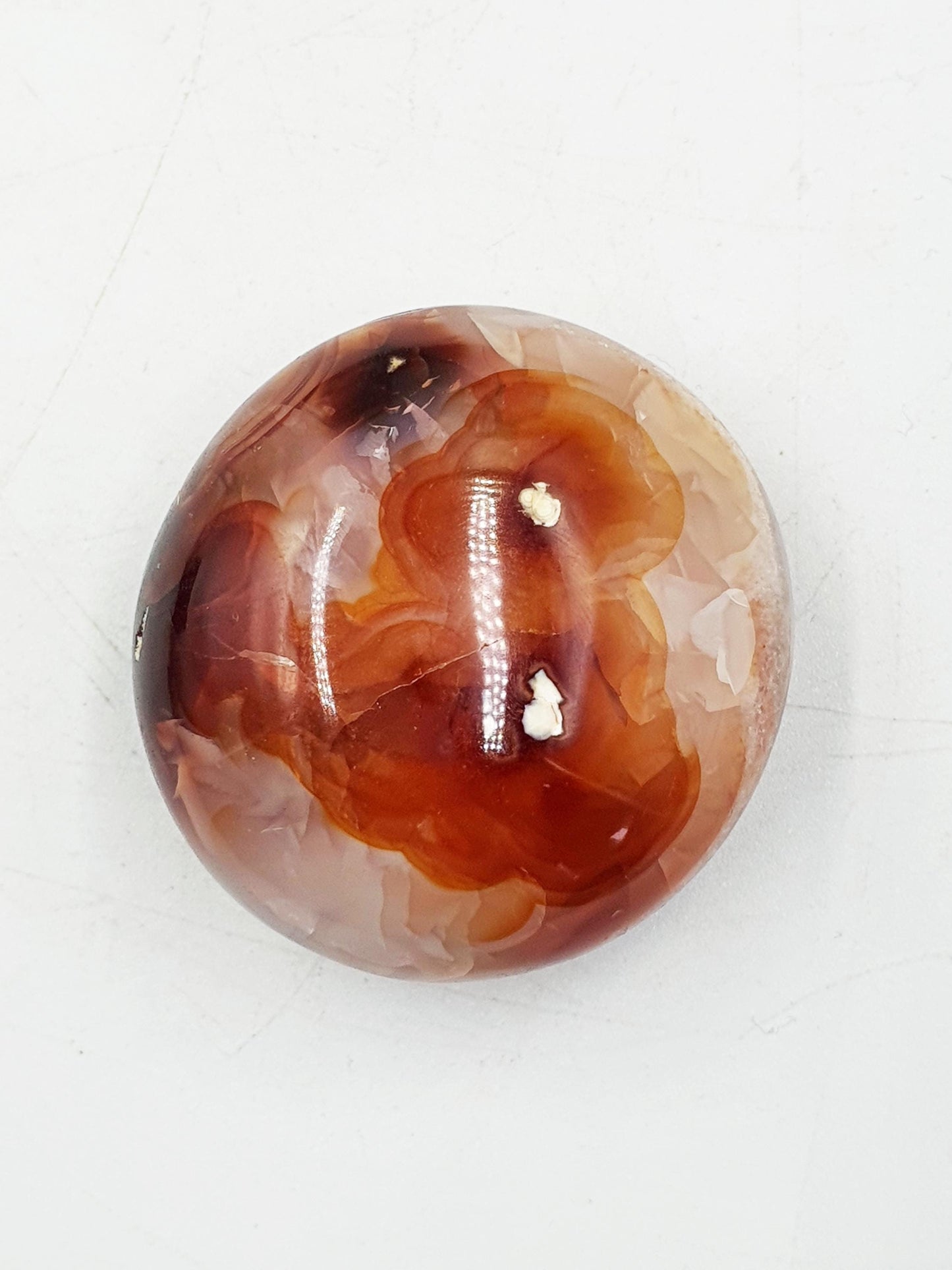 Carnelian Palm