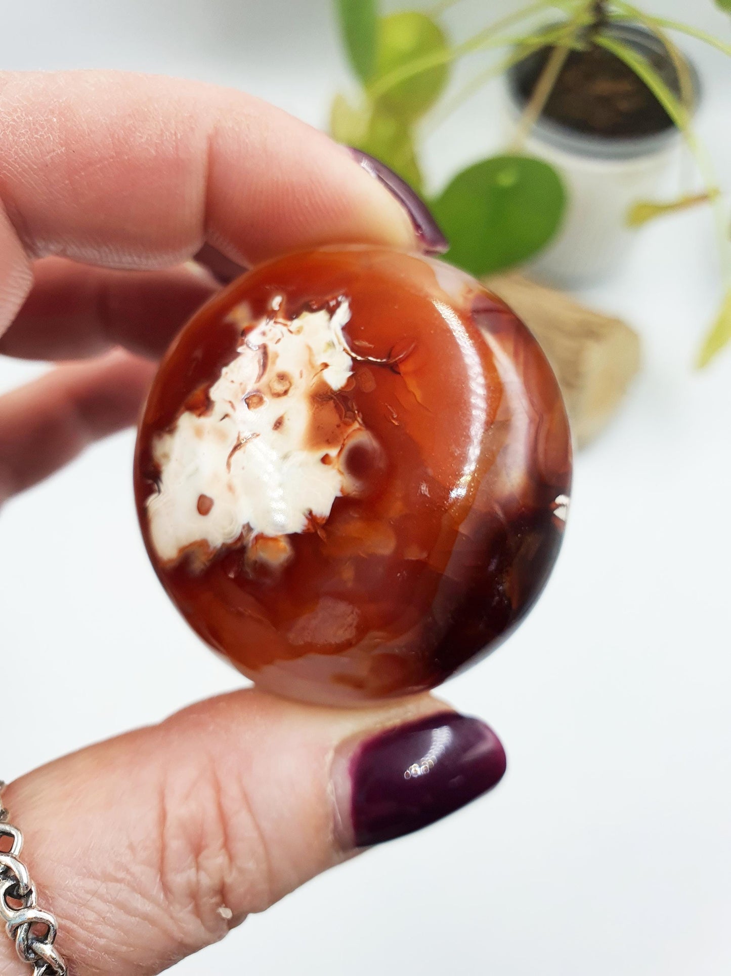 Carnelian Palm