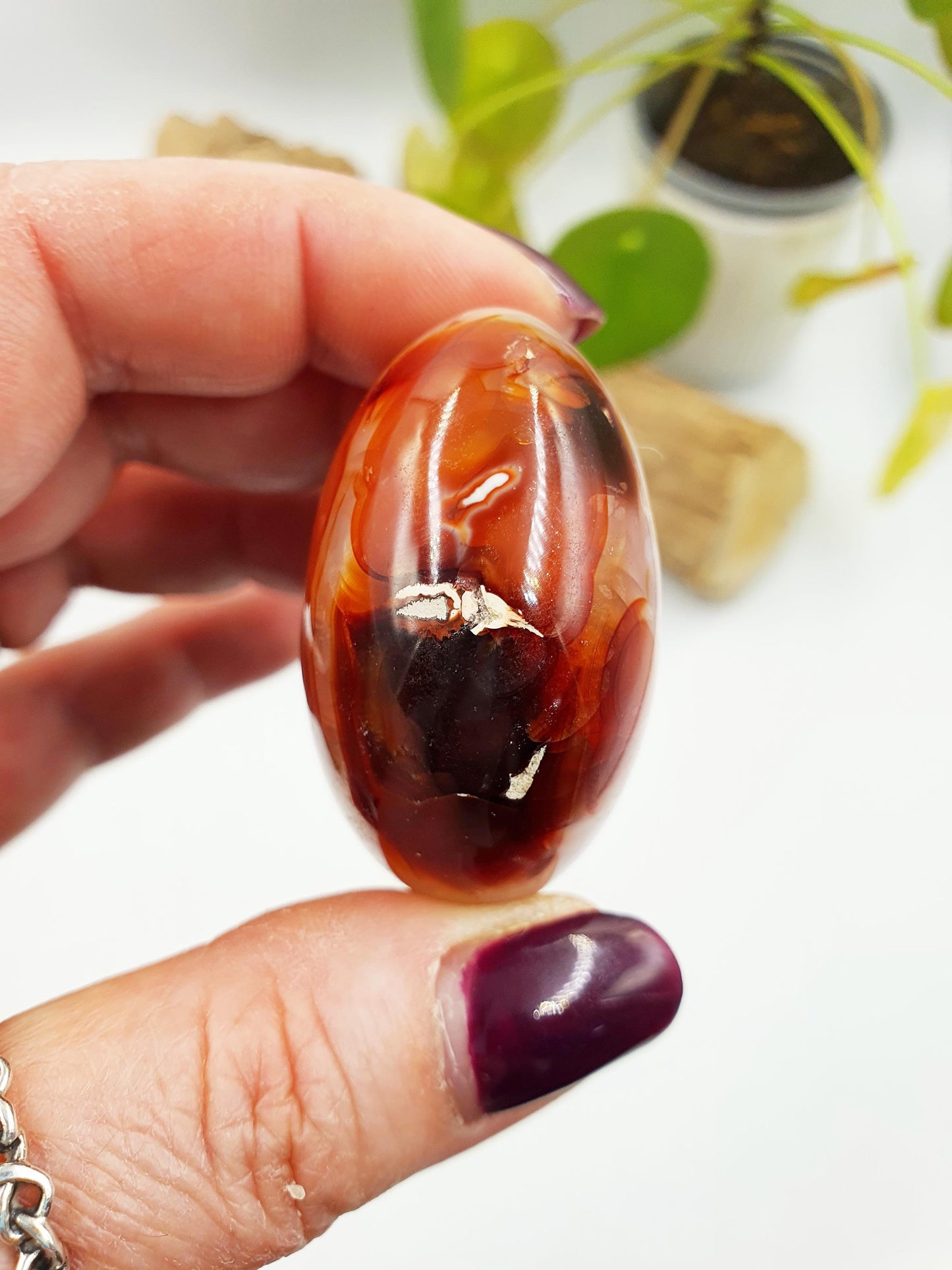 Carnelian Palm
