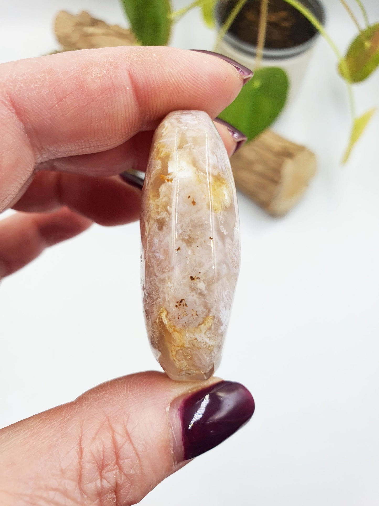Flower Agate Palm
