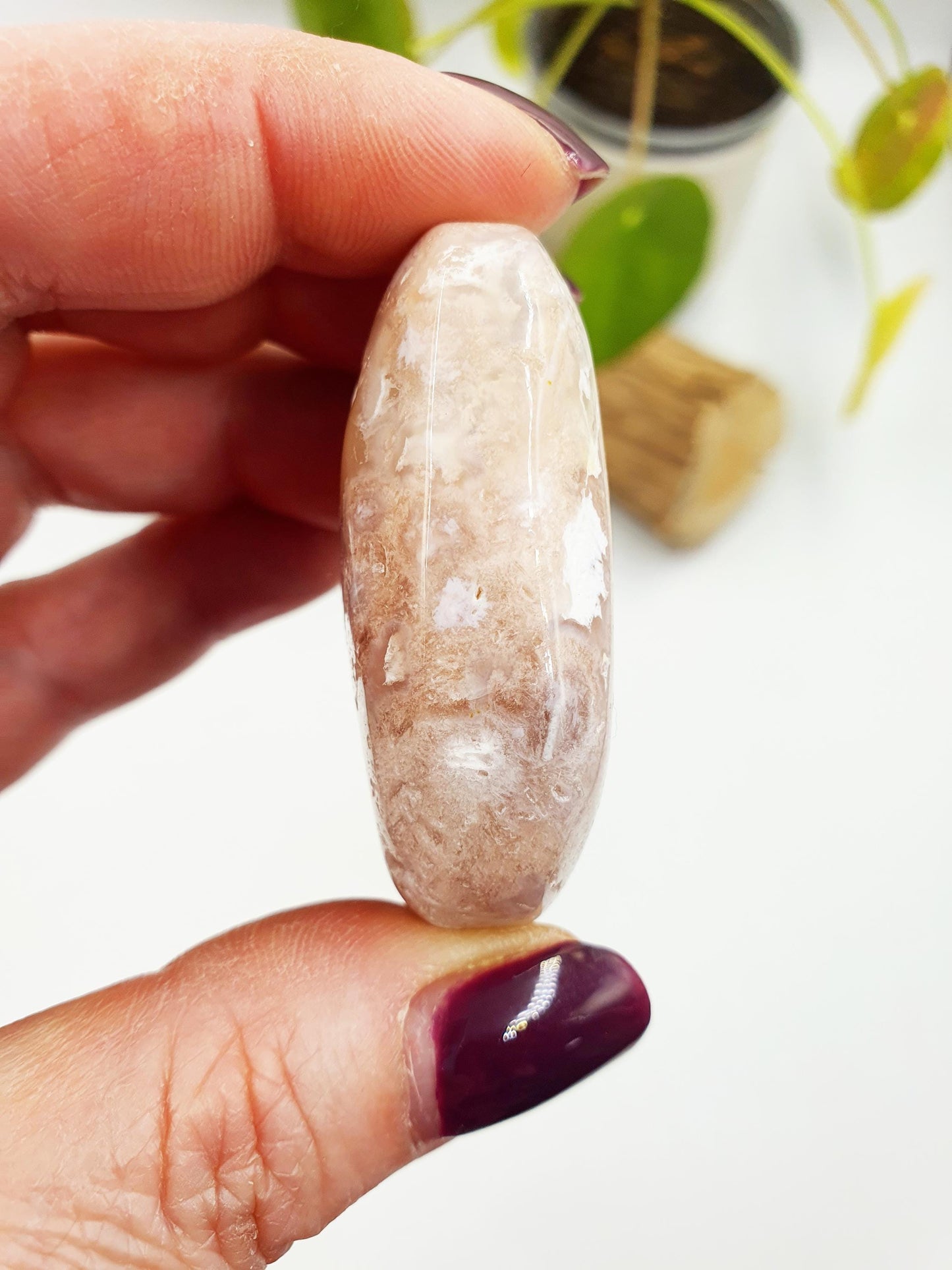 Flower Agate Palm