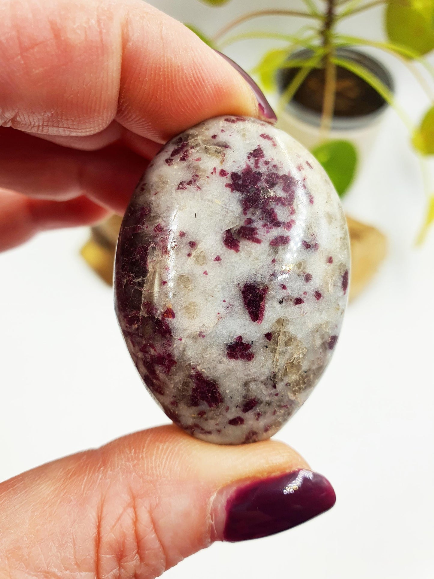 Little Plum Tourmaline Palm