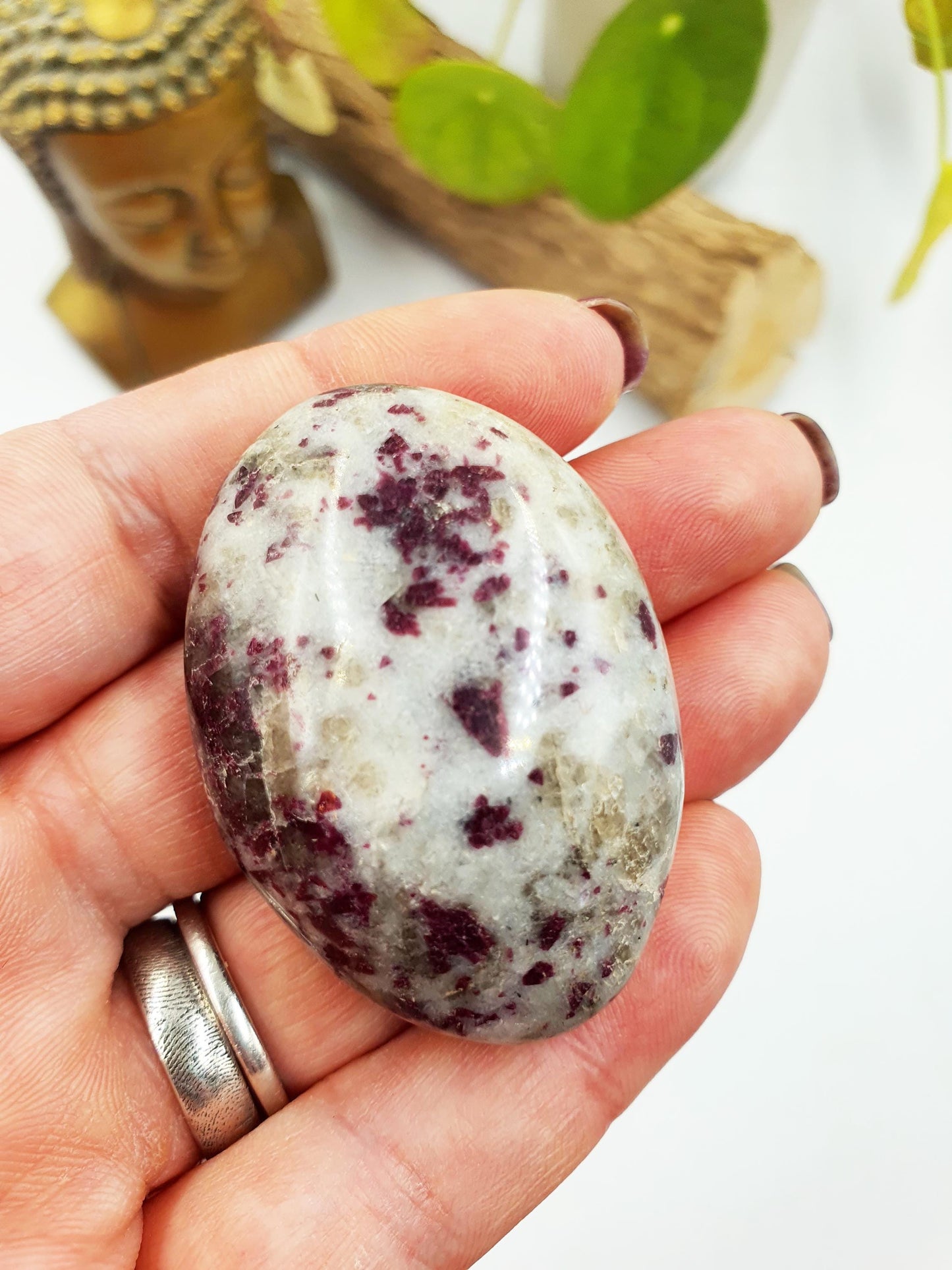 Little Plum Tourmaline Palm