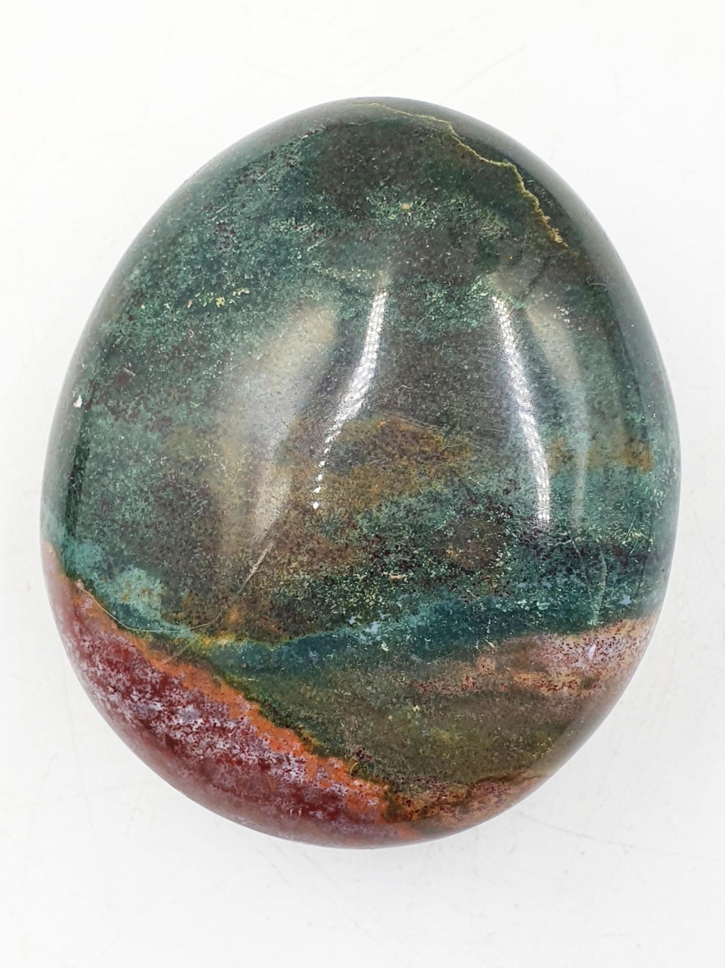 Large Ocean Jasper Palm