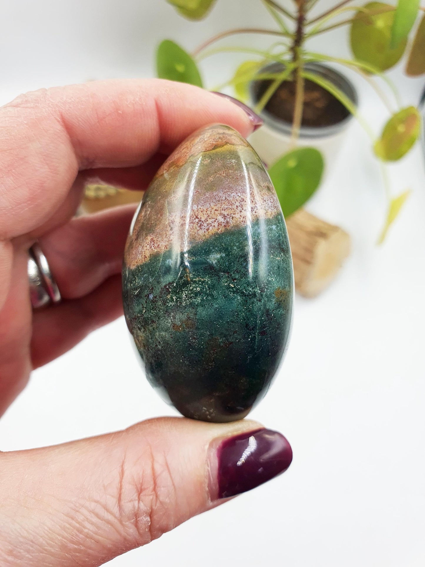 Large Ocean Jasper Palm