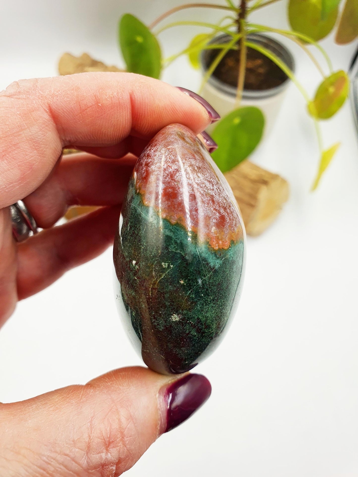 Large Ocean Jasper Palm